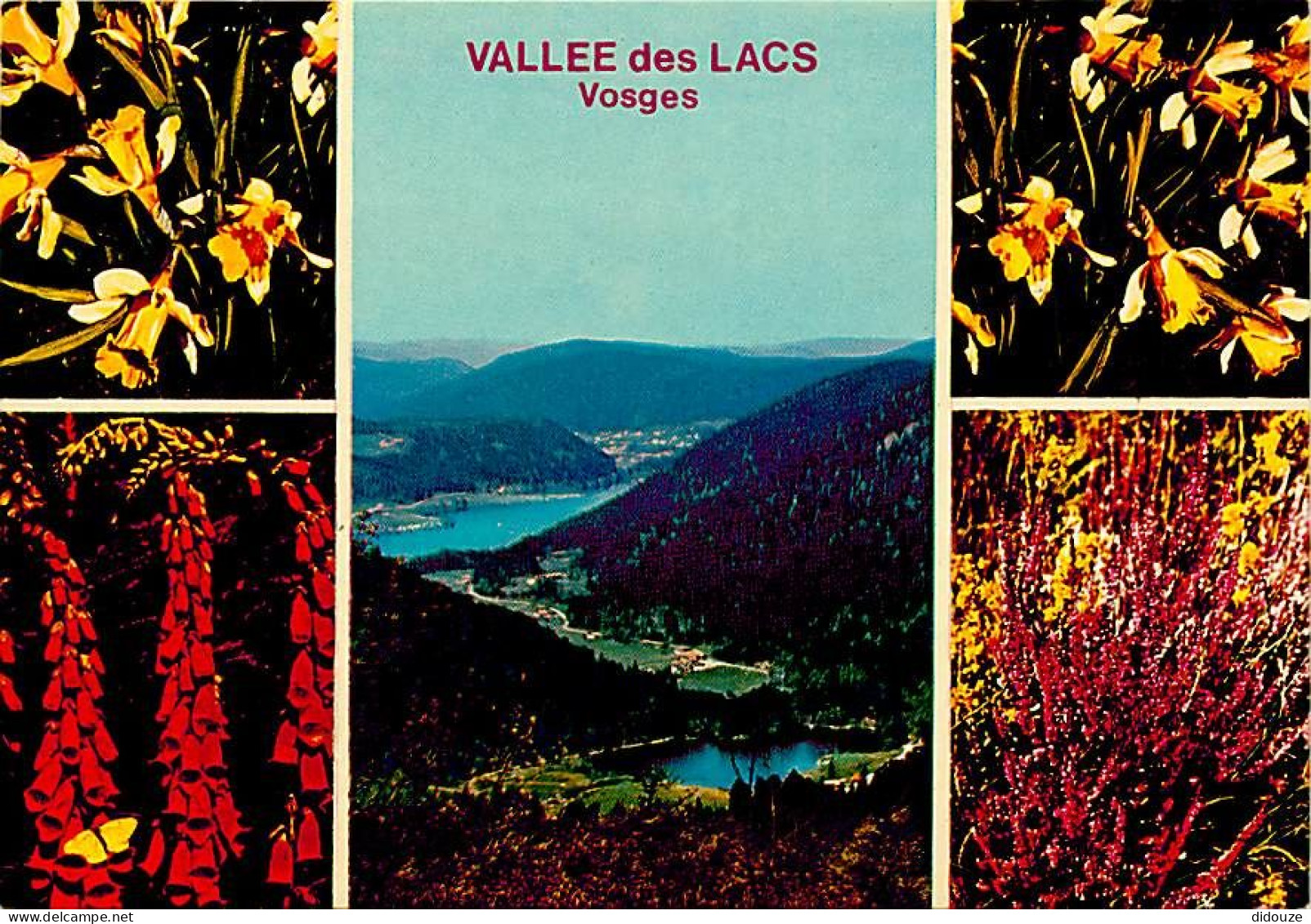 88 - Vosges - La Vallée Des Lacs - Multivues - Fleurs - Carte Neuve - CPM - Voir Scans Recto-Verso - Otros & Sin Clasificación