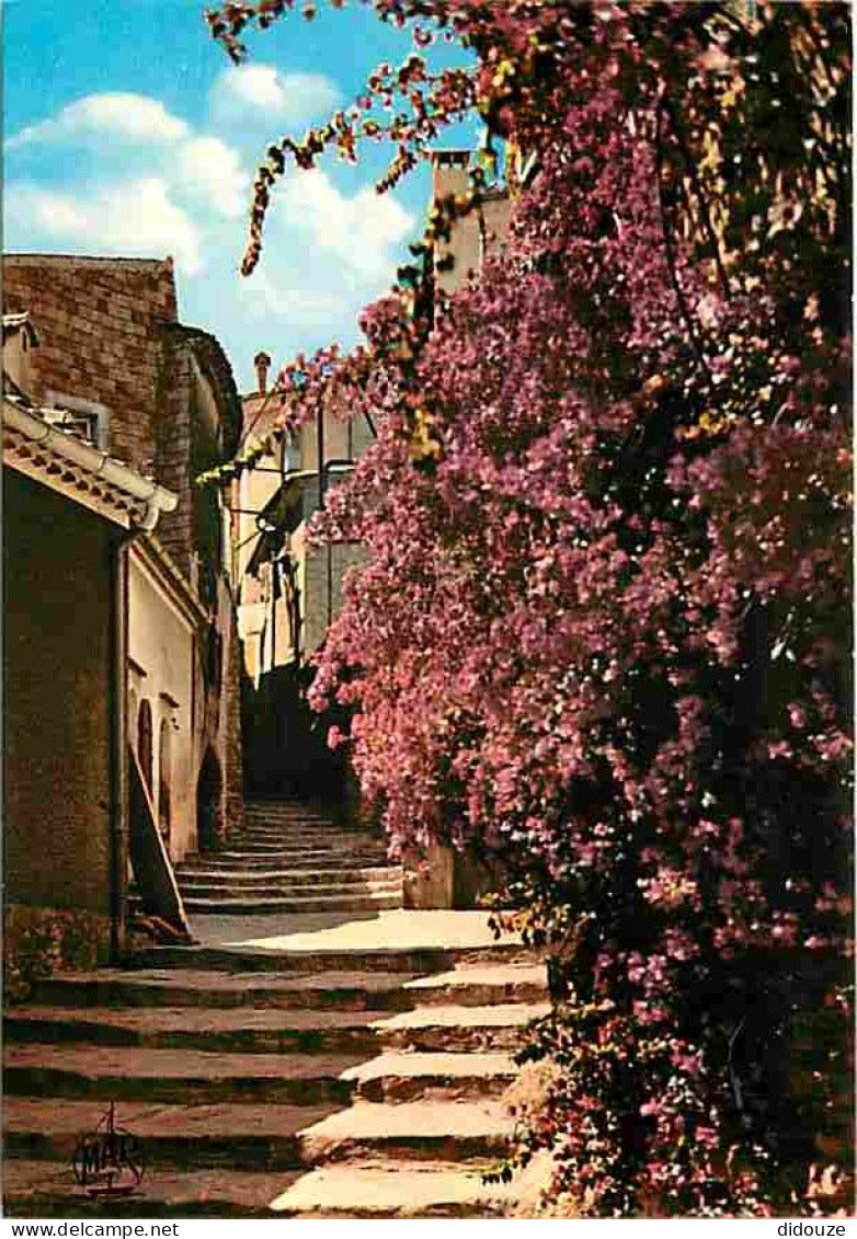 83 - Bormes Les Mimosas - Rue Rompi-Cuou - Fleurs - CPM - Voir Scans Recto-Verso - Bormes-les-Mimosas