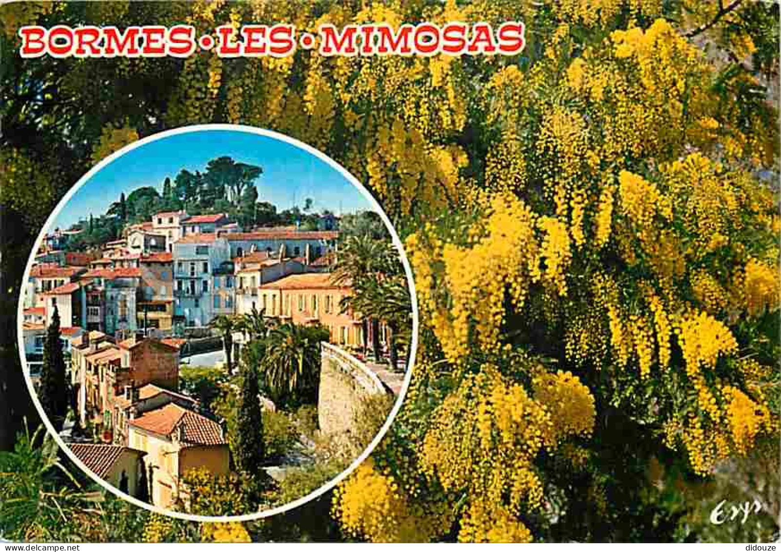 83 - Bormes Les Mimosas - Vue Générale - CPM - Voir Scans Recto-Verso - Bormes-les-Mimosas