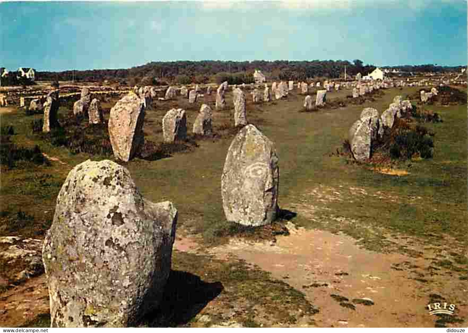 56 - Carnac - Les Alignements Mégalithiques Du Ménec - Carte Neuve - CPM - Voir Scans Recto-Verso - Carnac