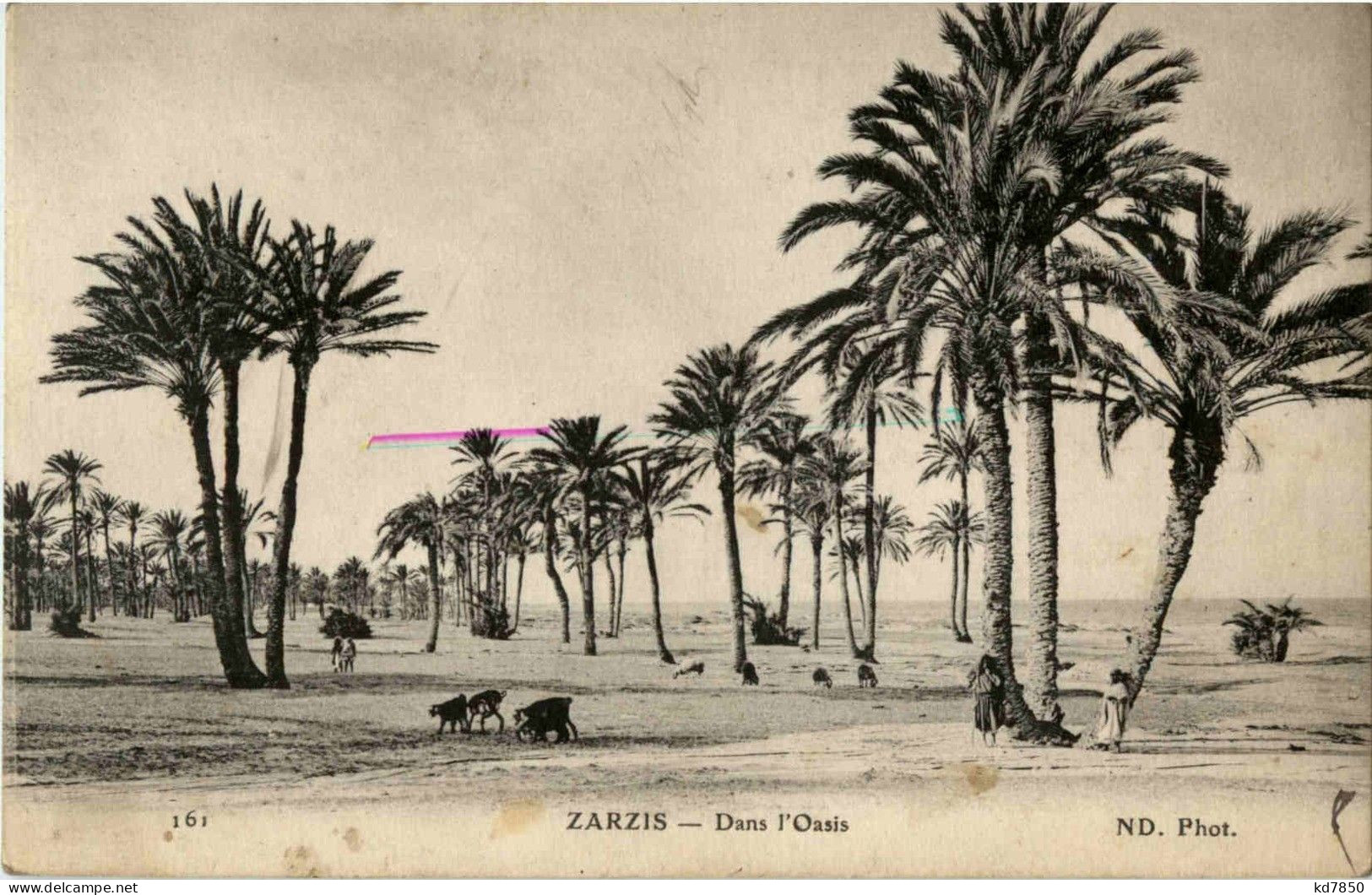 Zarzis - Tunisia