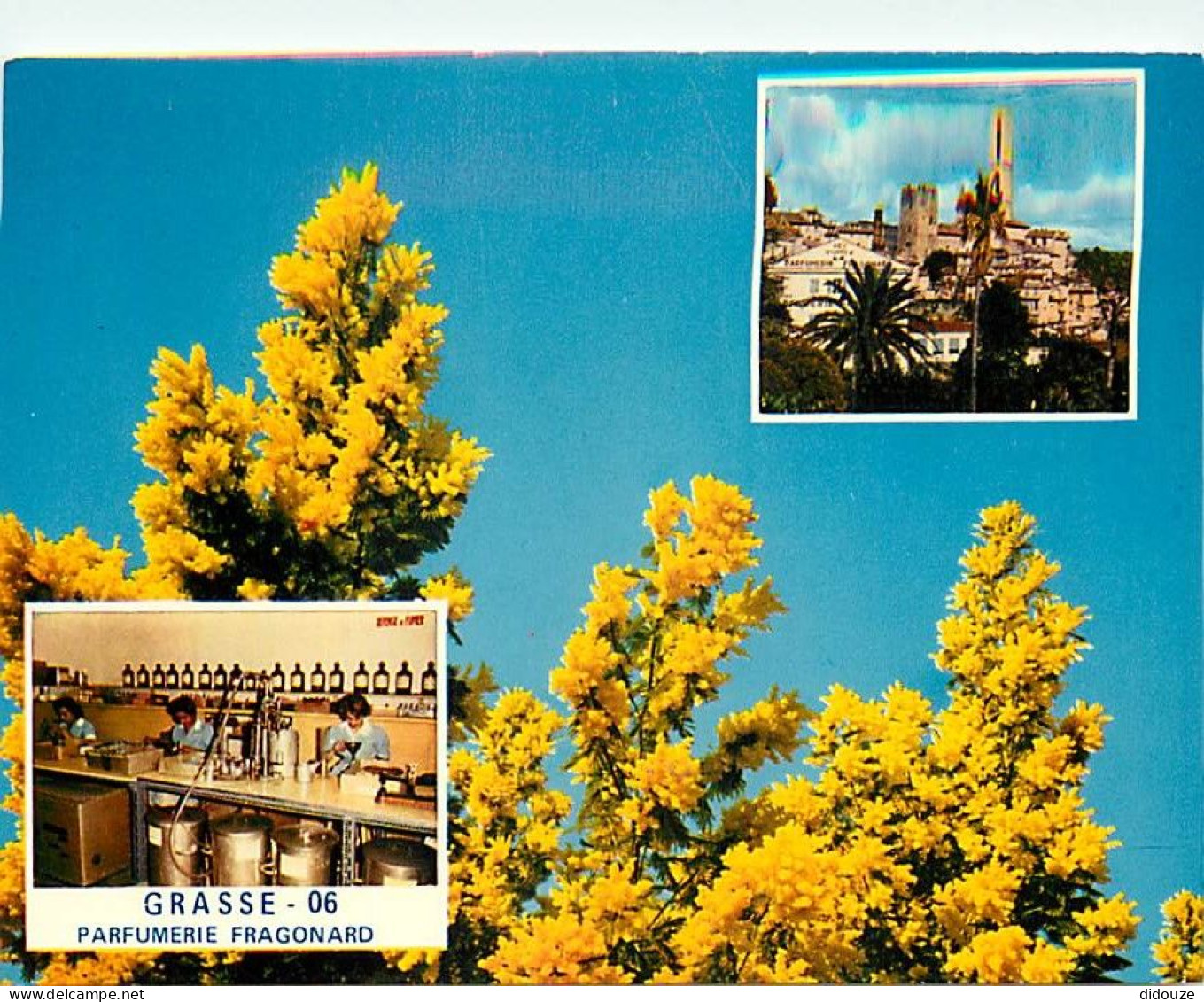 06 - Grasse - Multivues - Parfumerie Fragonard - CPM - Carte Neuve - Voir Scans Recto-Verso - Grasse