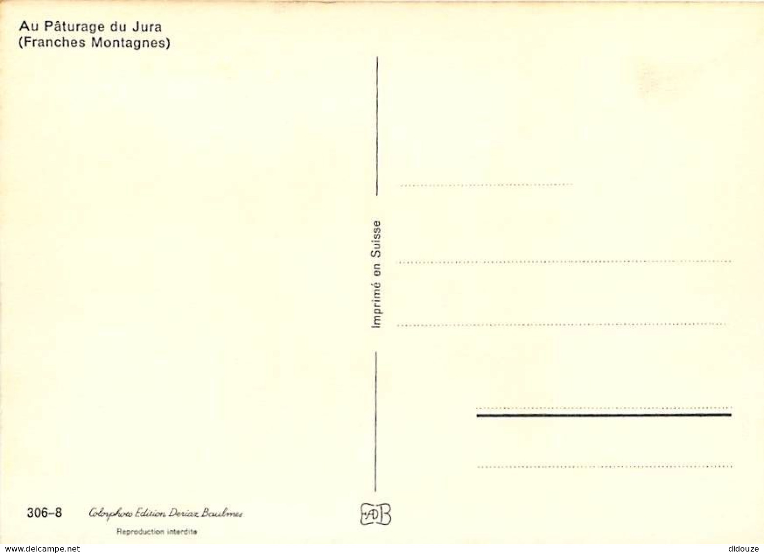 Animaux - Chevaux - Au Pâturage Du Jura - Pouliche Et Son Poulain - Carte Neuve - CPM - Voir Scans Recto-Verso - Paarden