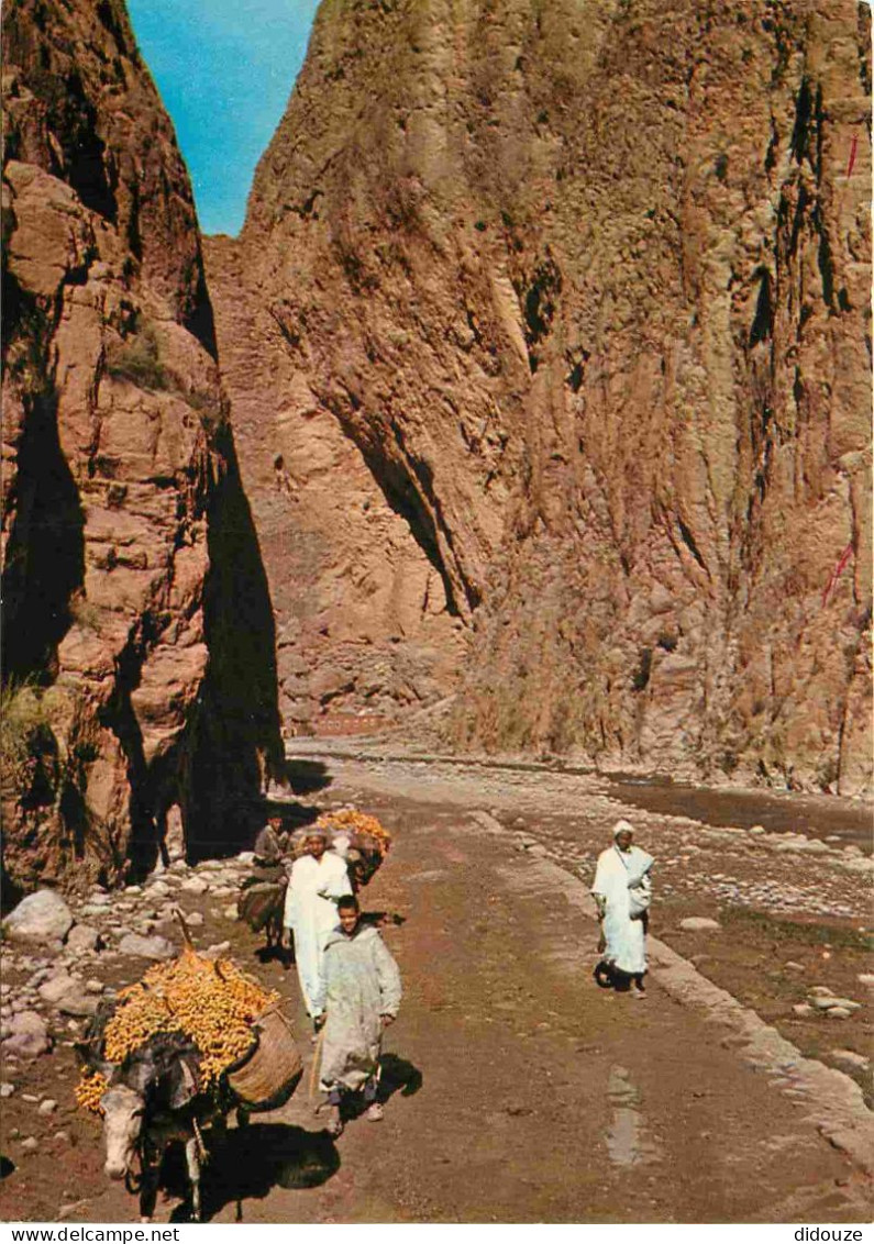 Maroc - Tinghir - Tinerhir - Gorges Du Todra - CPM - Voir Scans Recto-Verso - Autres & Non Classés