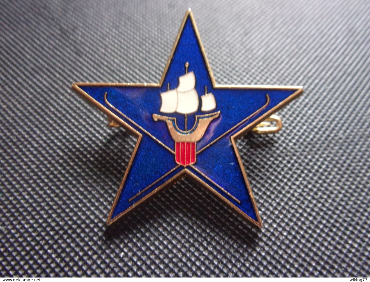 Insigne Section D' Eclaireurs Skieurs Du 43° Régiment D’Infanterie Alpine - SES - Heer