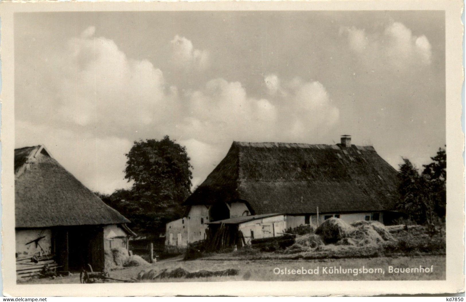 Ostseebad Kühlungsborn, Bauenhof - Kuehlungsborn