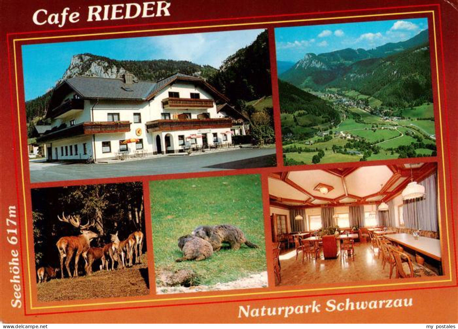 73884661 Schwarzau Gebirge Niederoesterreich AT Cafe Rieder Gastraum Panorama Ro - Other & Unclassified