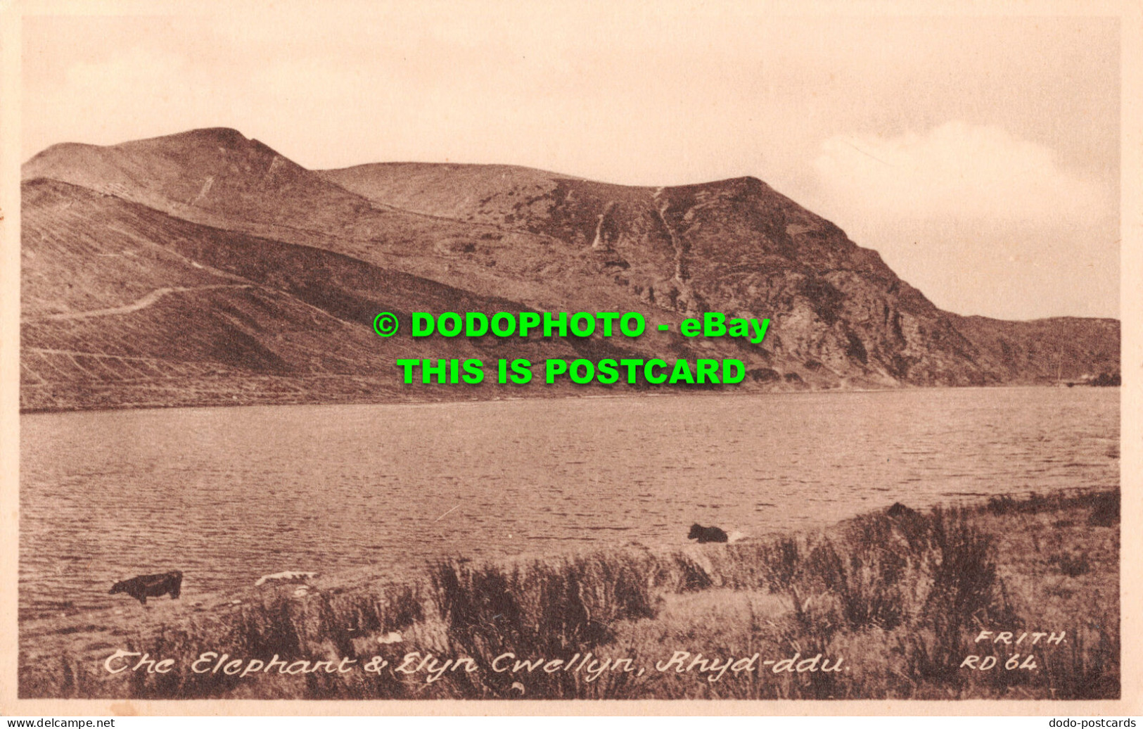 R507771 Rhyd Ddu. The Elephant And Llyn Cwellyn. F. Frith - Mondo