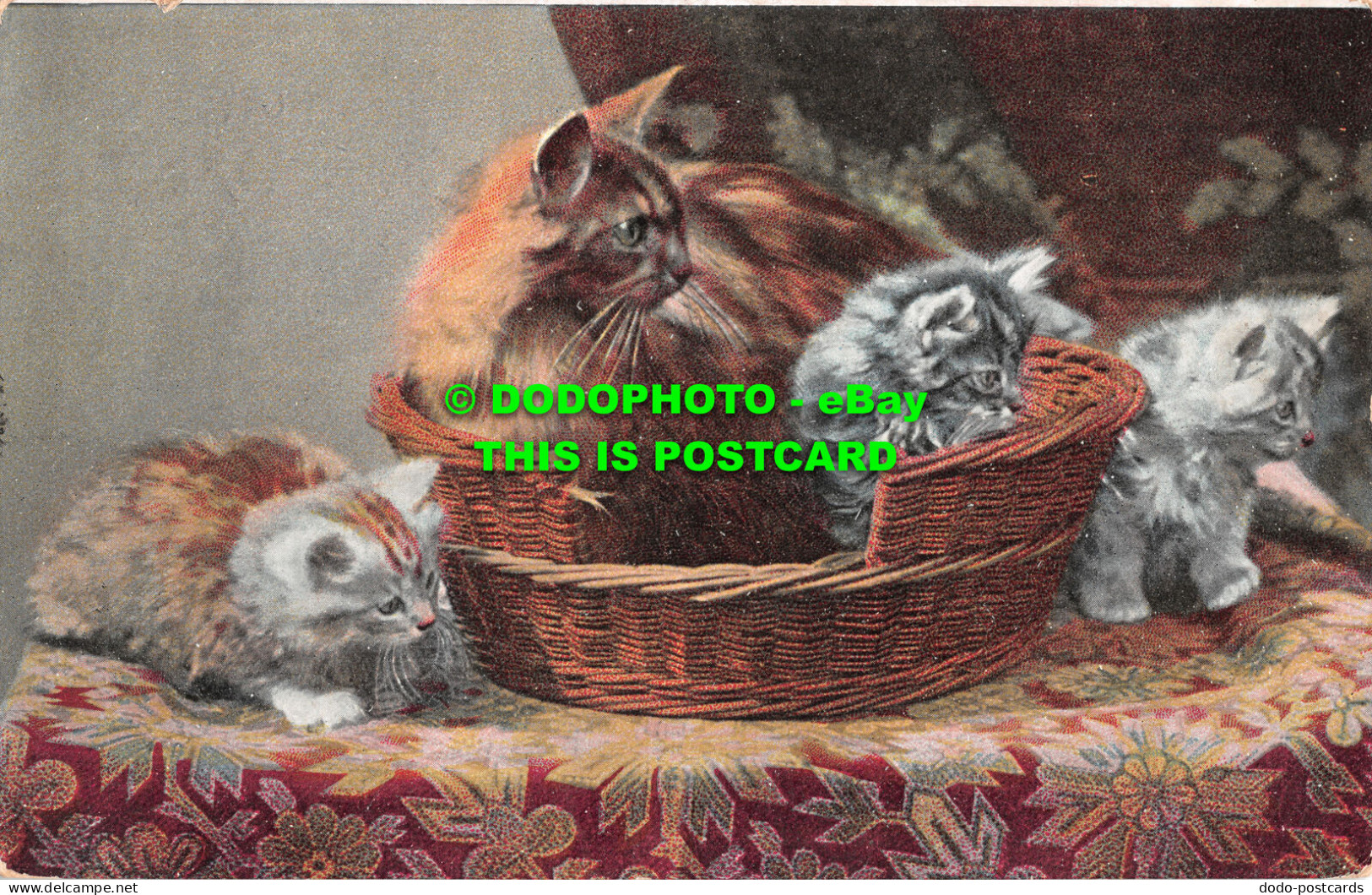 R507779 Four Cats. Postcard - Mondo