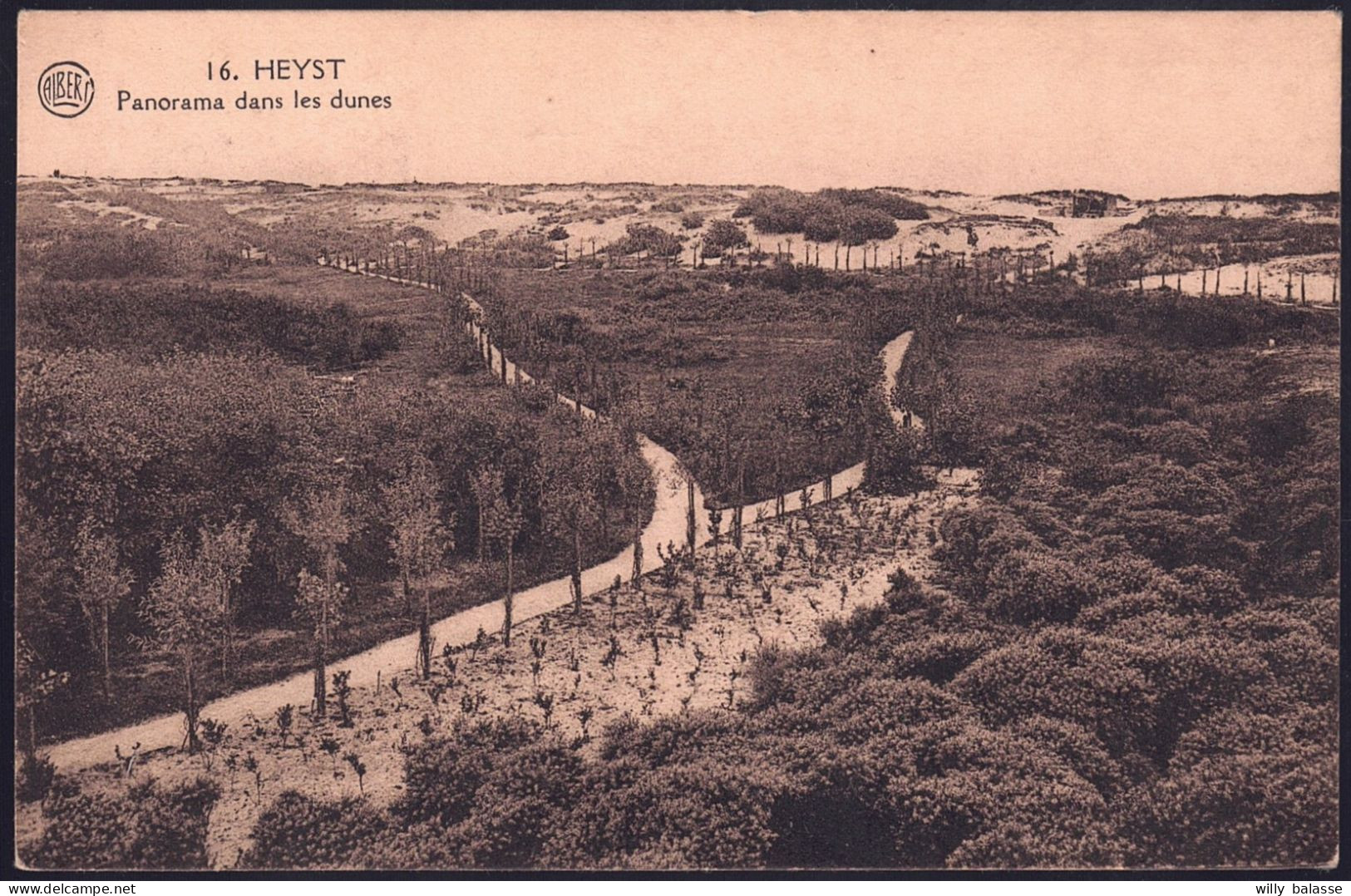 +++ CPA - HEYST - HEIST - Panorama Dans Les Dunes  // - Heist
