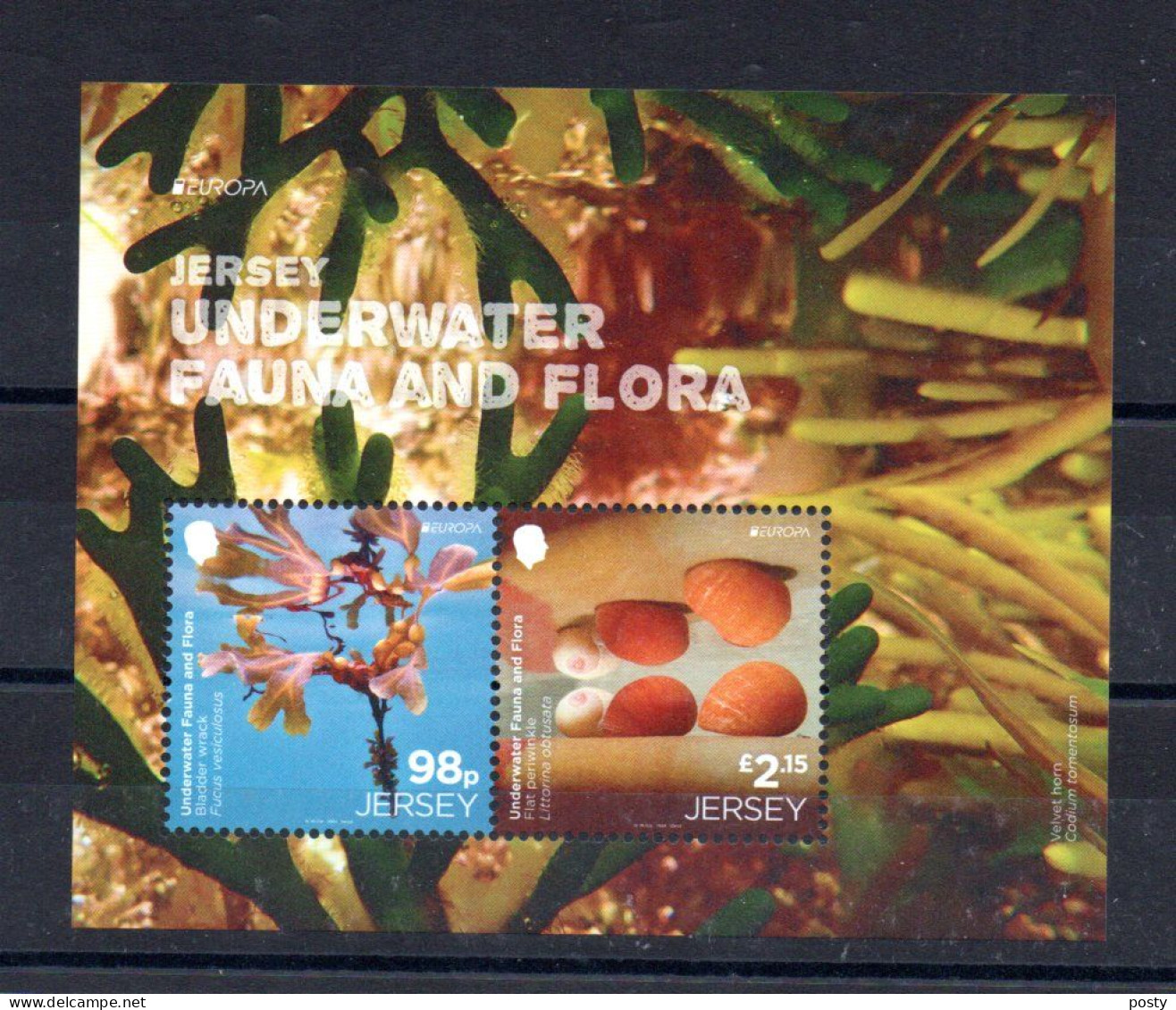 JERSEY - 2024 - M/S - B/F - EUROPA - FAUNE ET FLORE AQUATIQUE - UNDERWATER FLORA AND FAUNA - - Jersey