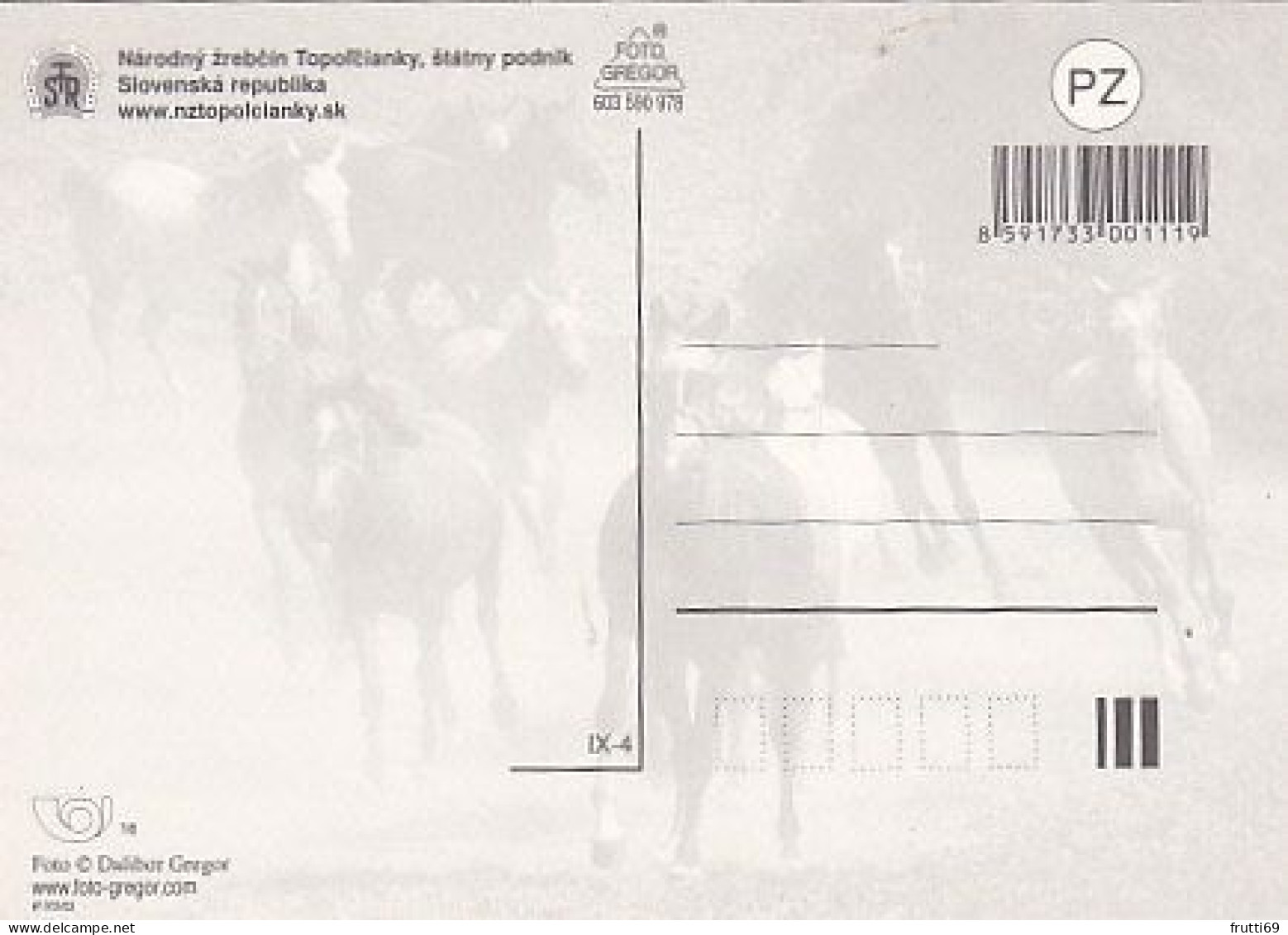 AK 214934 HORSE / PFERD / CHEVAL .. - Pferde