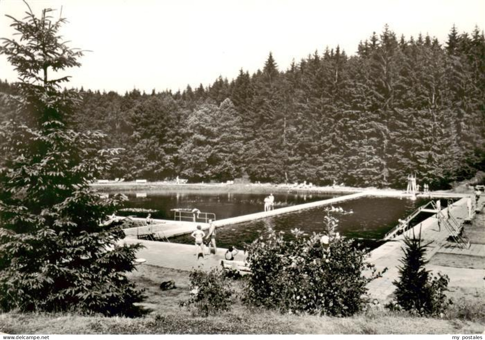 73884252 Elend Harz Waldbad Elend Harz - Sonstige & Ohne Zuordnung