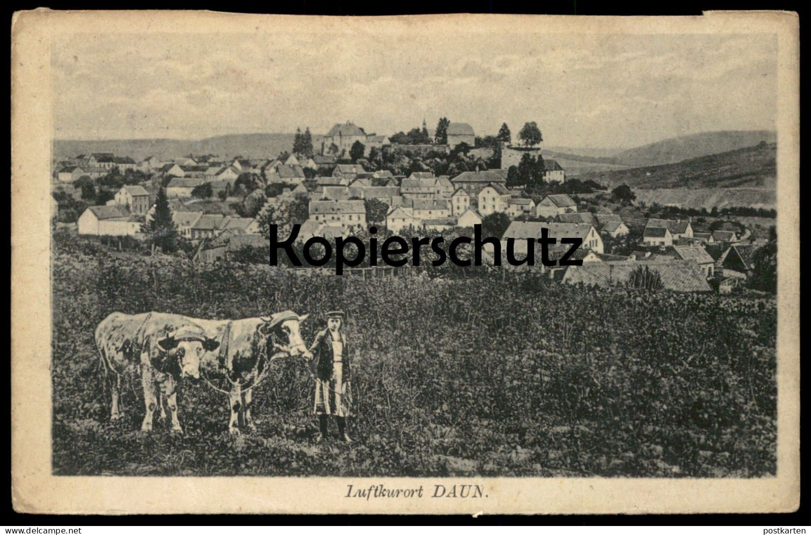 ALTE POSTKARTE LUFTKURORT DAUN EIFEL JUNGE MIT KÜHEN JUNGER MANN KUH KÜHE HIRTE PANORAMA Ansichtskarte AK Cpa Postcard - Daun