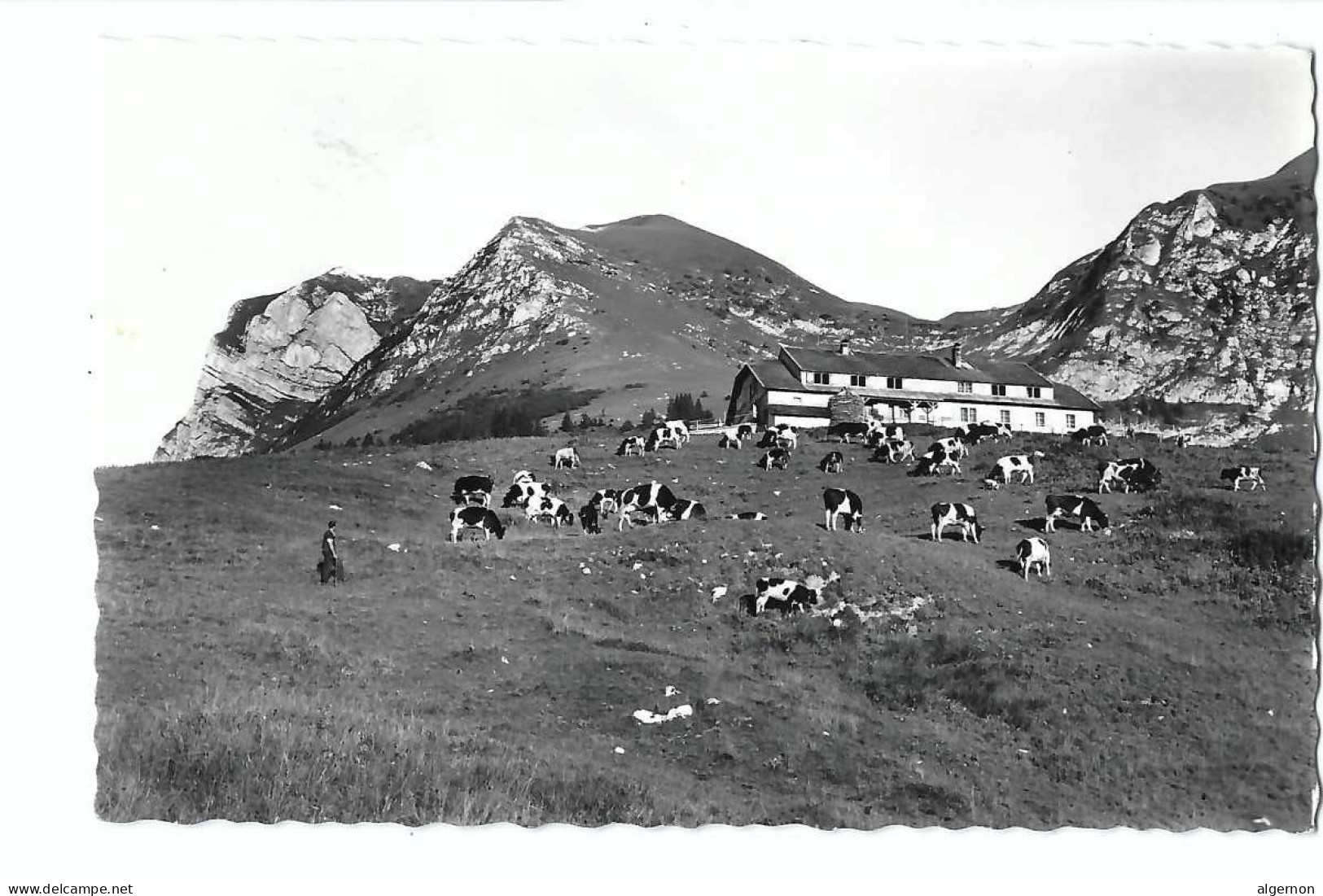 32417 - Chalet Du Gros Plané Et Le Moléson - Gruyères