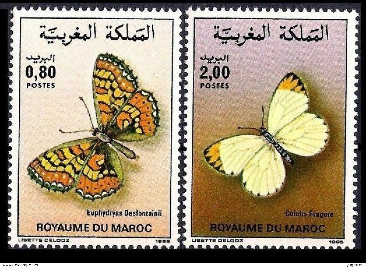 MAROC MOROCCO 1985 - 2v - MNH - Butterfly - Butterflies - Papillons - Schmetterlinge - Mariposas - Farfalle - Borboletas - Farfalle
