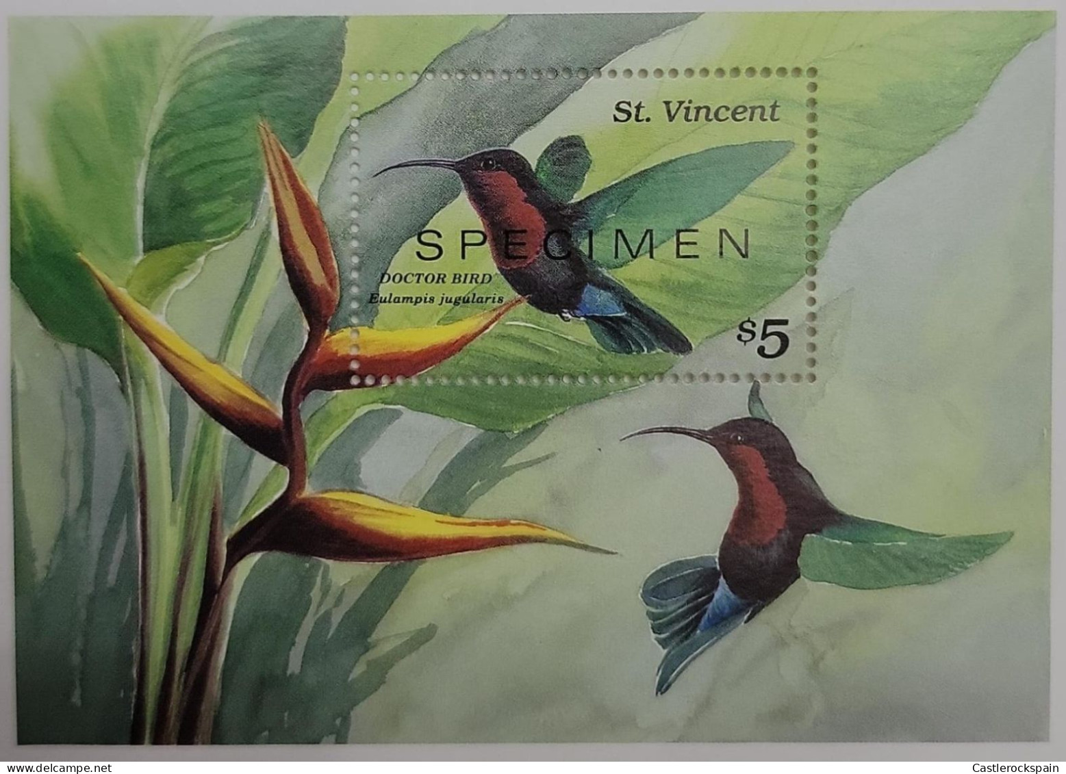 O) 1996 ST. VINCENT, SPECIMEN, BIRD - EULAMPIS JUGULARIS, SCT 2291, HUMMINGBIRD, MNH - St.Vincent (1979-...)