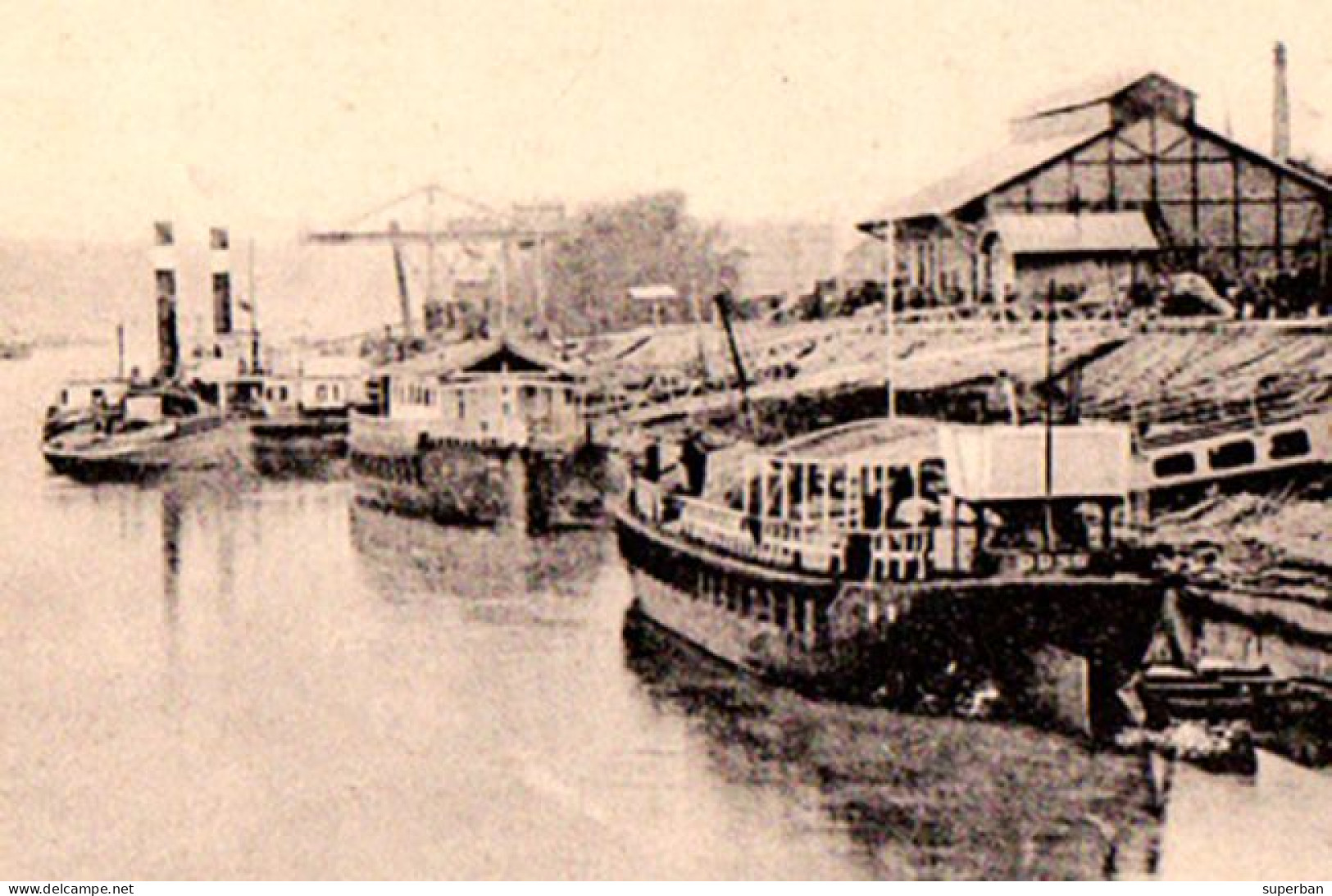 TURNU SEVERIN : VEDEREA PORTULUI - SHIPS On DANUBE ~ 1910 - '915 (an593) - Romania