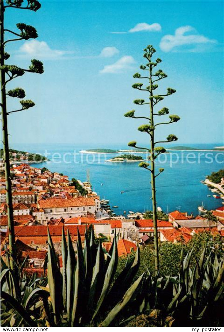 73861052 Hvar Croatia Panorama  - Croatia