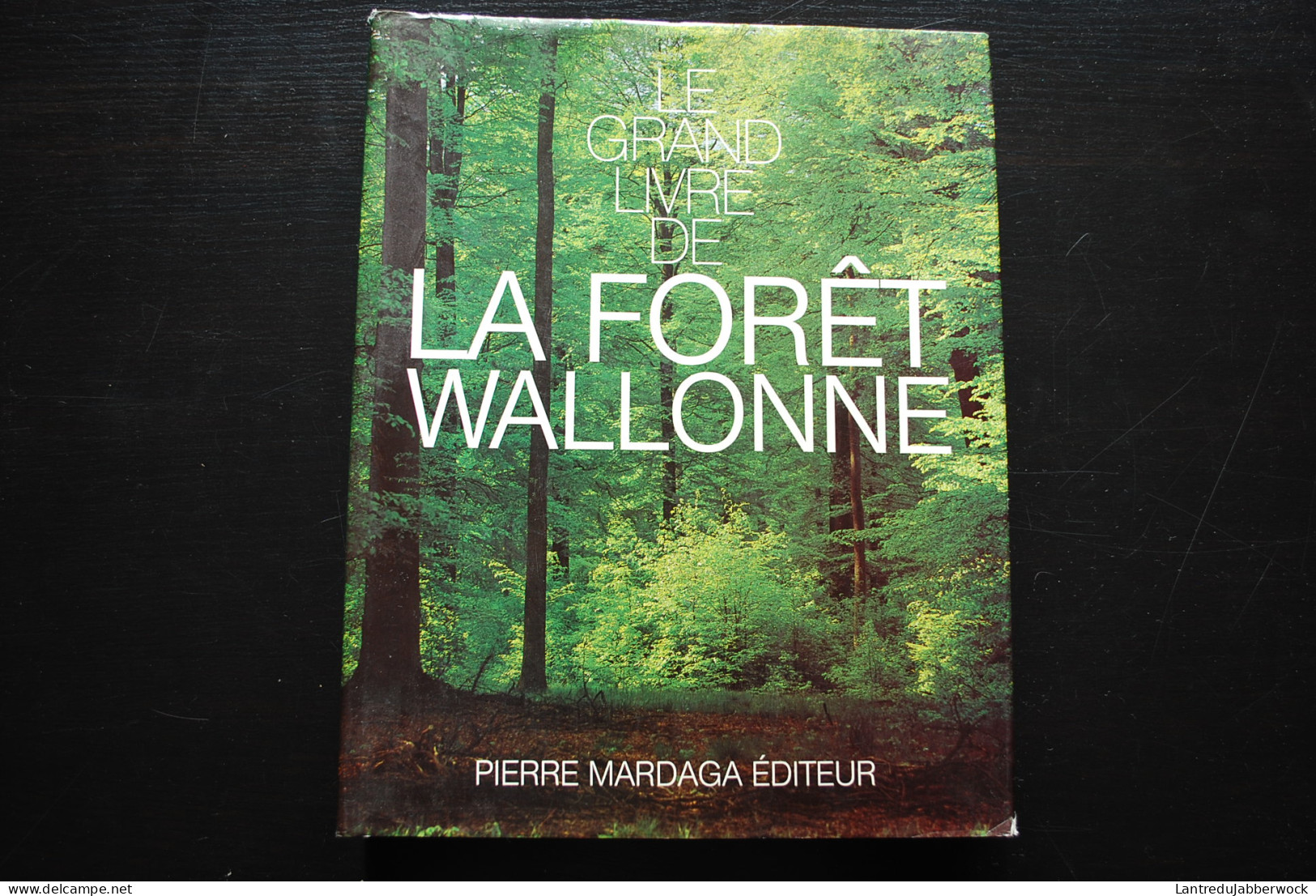 LE GRAND LIVRE DE LA FORET WALLONNE Régionalisme Ardenne Ecologie Exploitation Forestière Essences Arbre Chasse Nature - België