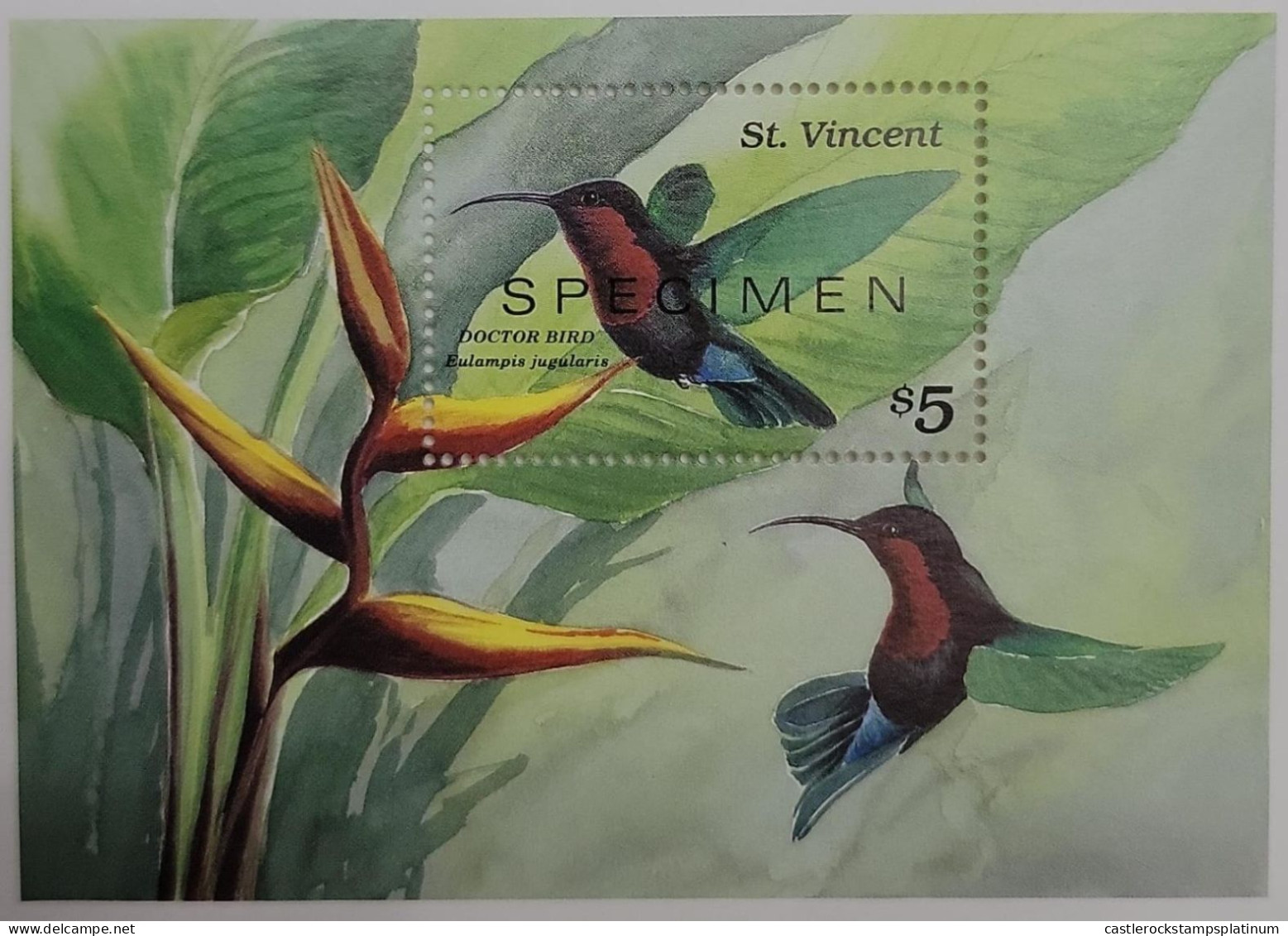 O) 1996 ST. VINCENT, SPECIMEN, BIRD - EULAMPIS JUGULARIS, SCT 2291, HUMMINGBIRD, MNH - St.Vincent (1979-...)