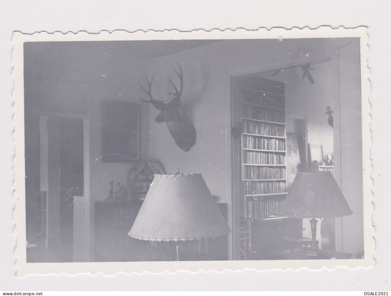 Room Interior, Lamp, Deer Trophy Head On The Wall, Abstract Surreal Vintage Orig Photo 8.6x5.8cm. (54780) - Objets