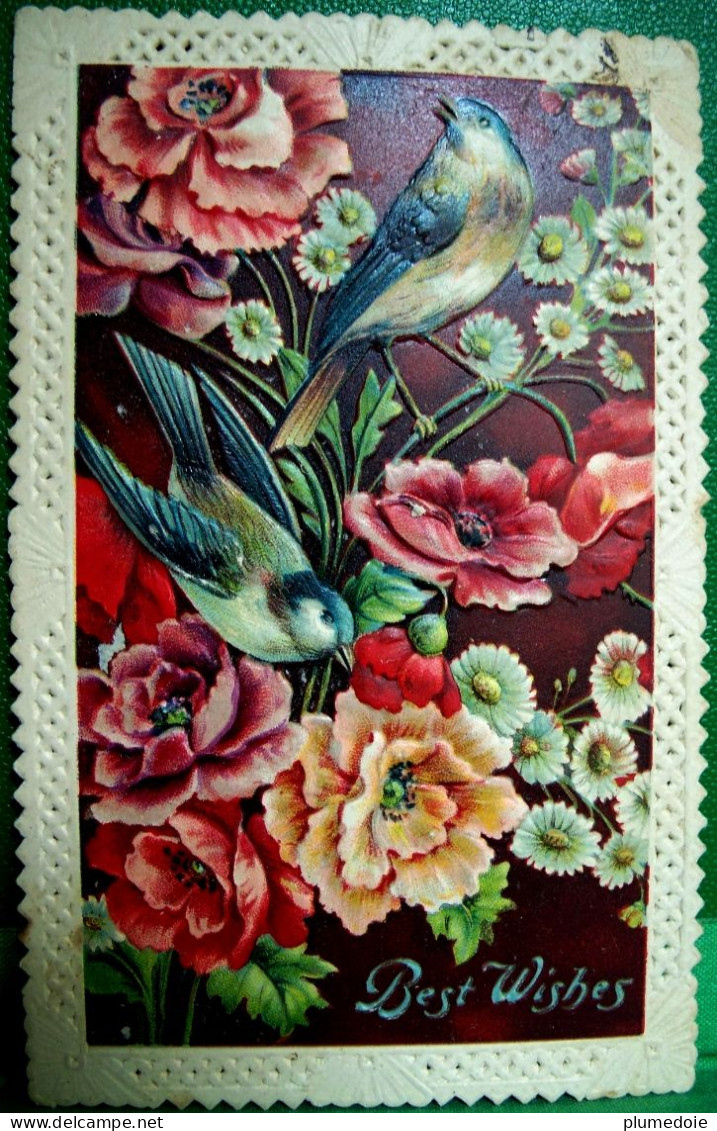 CPA   Gaufrée  FLEURS 2 OISEAUX Cadre Dentelle, COQUELICOTS , PAVOTS , 1910, POPPIES BIRDS LACE FRAMED EMBOSSED OLD PC - Flores