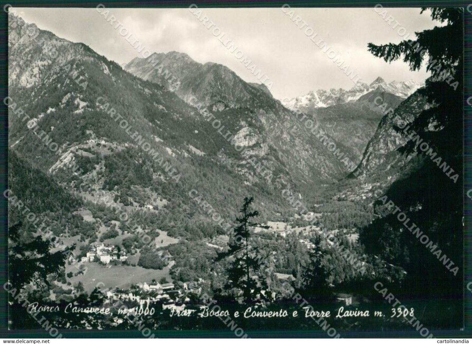 Torino Ronco Canavese Bosco Convento Torre Lavina Foto FG Cartolina KB2147 - Altri & Non Classificati