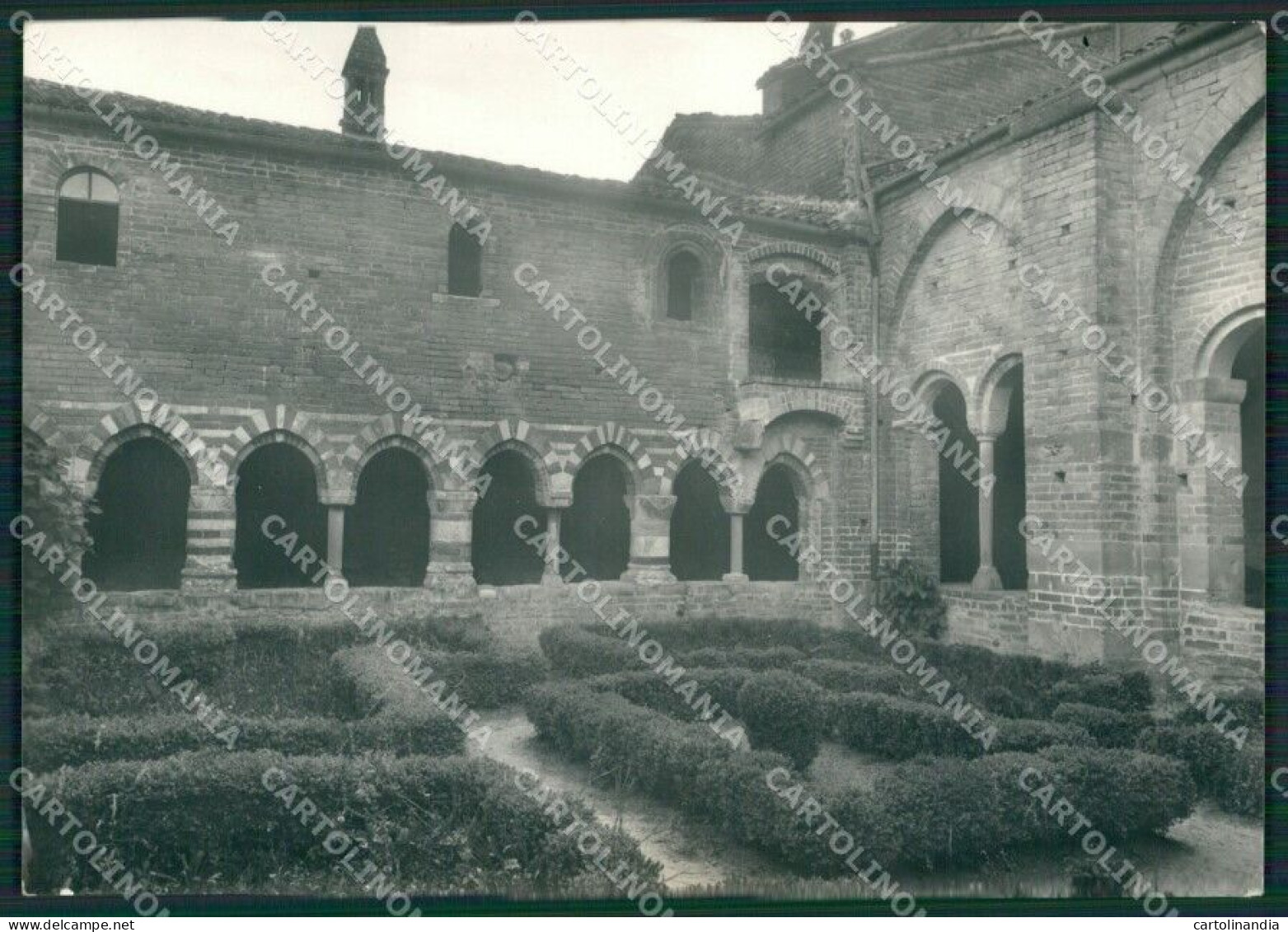 Asti Albugnano Di Abazzia Foto FG Cartolina KB2061 - Asti