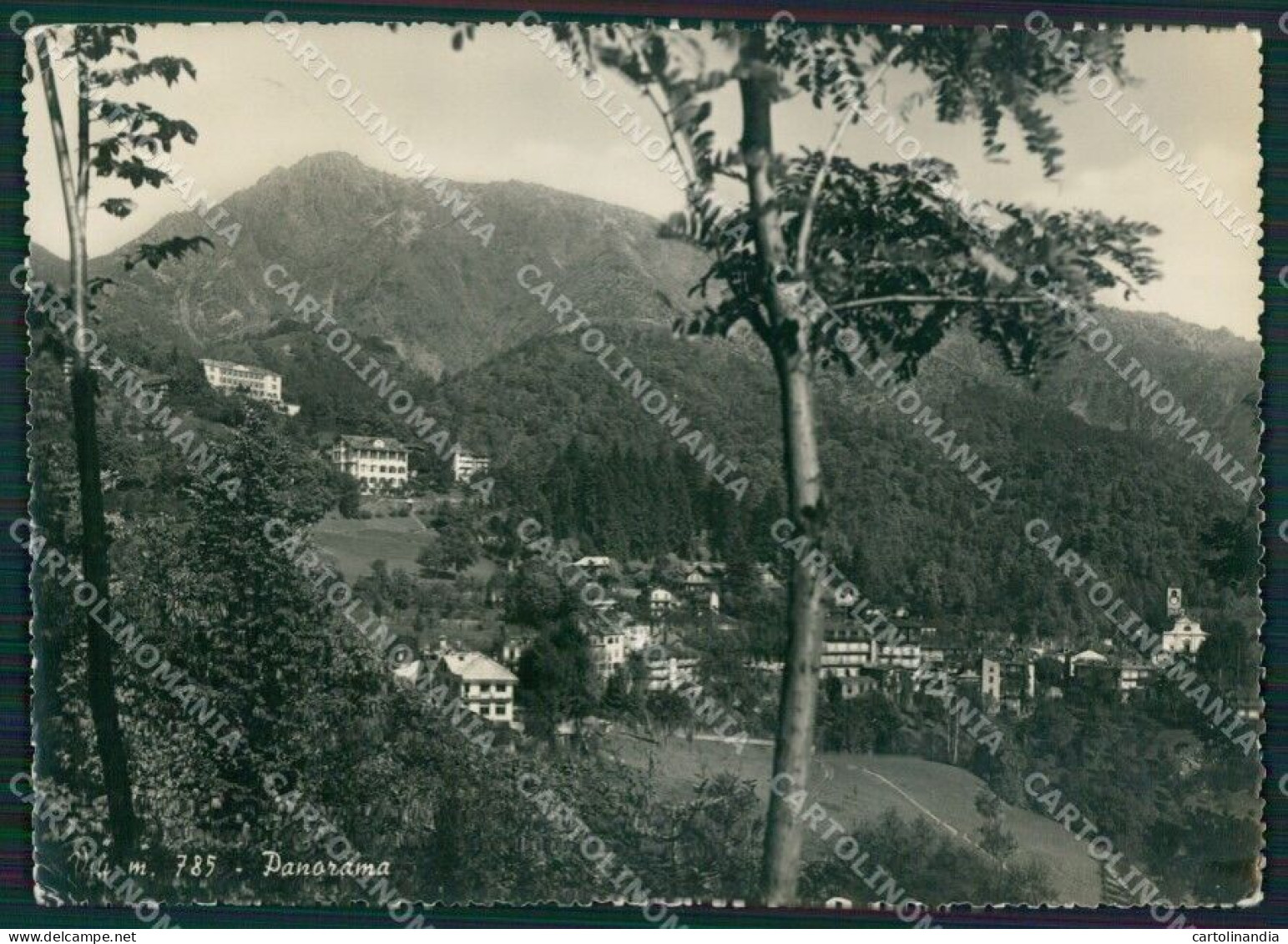 Torino Viù PIEGHINE Foto FG Cartolina KB2039 - Sonstige & Ohne Zuordnung