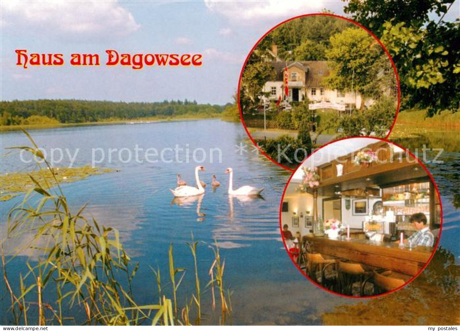 73860528 Neuglobsow Stechlin Haus Am Dagowsee Bar  - Neuglobsow