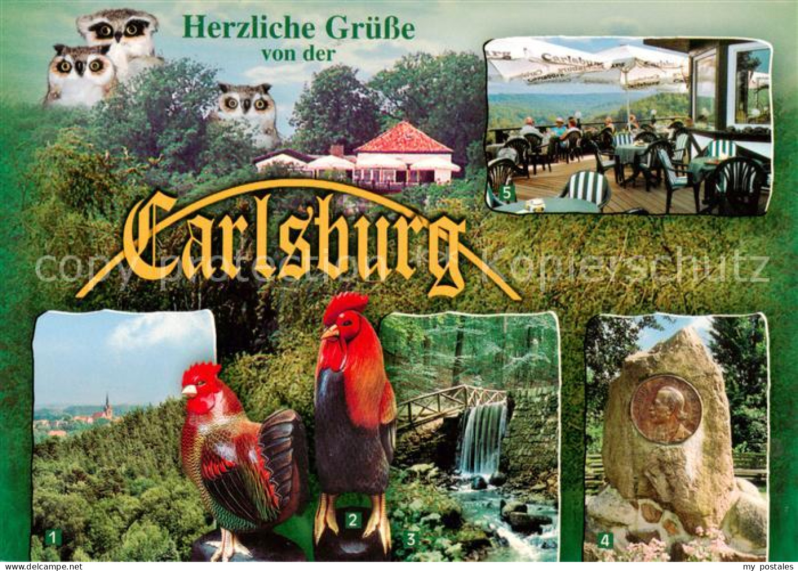 73860282 Falkenberg Mark Carlsburg Historisches Panoramarestaurant Und Erlebnisw - Falkenberg (Mark)