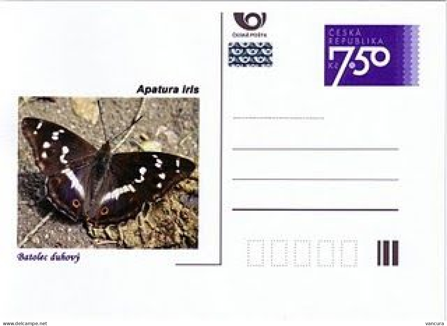 CDV C Czech Republic Butterflies 2006 - Papillons