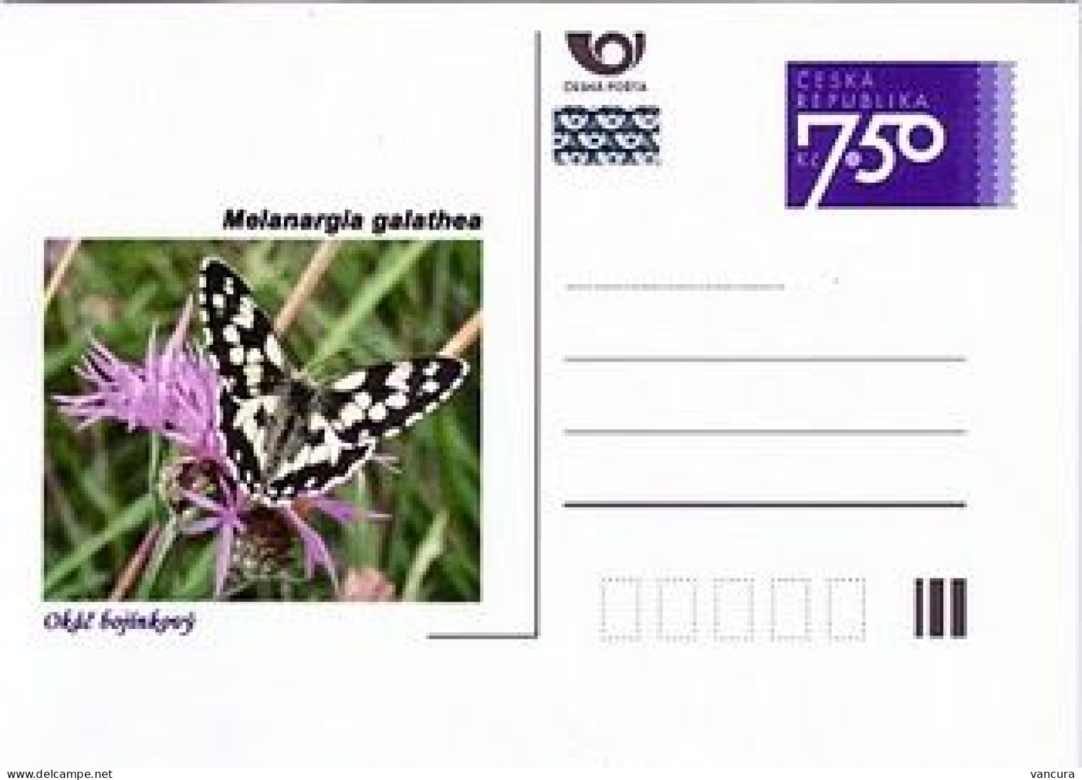 CDV C Czech Republic Butterflies 2006 - Farfalle