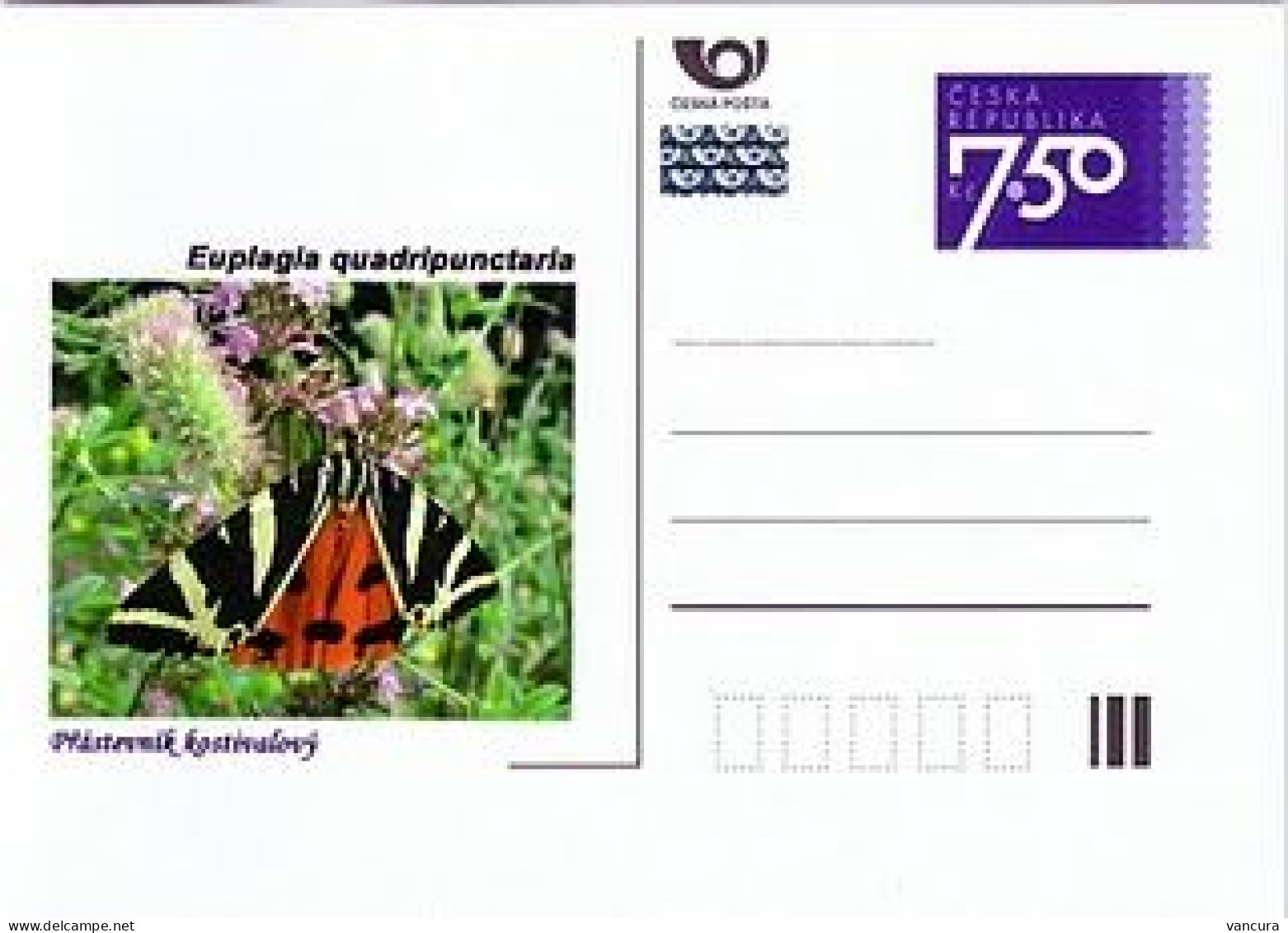 CDV C Czech Republic Butterflies 2006 - Farfalle