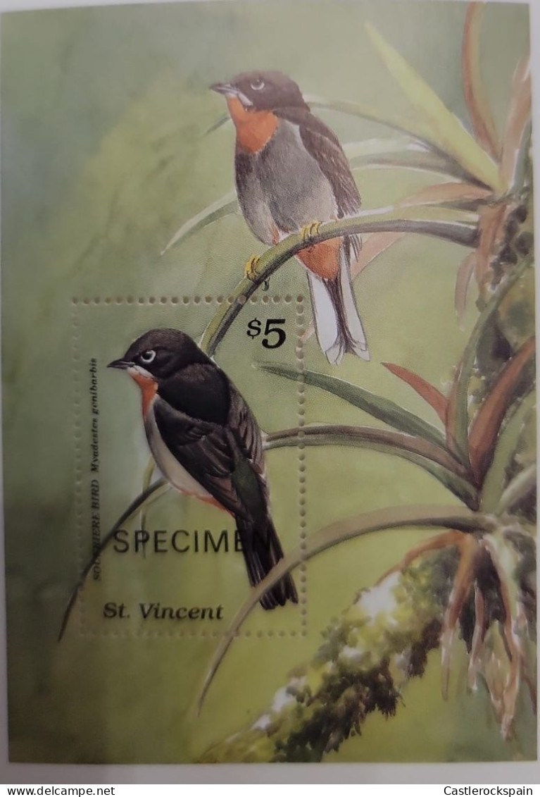 O) 1996 ST. VINCENT, SPECIMEN, BIRD - MYADESTES GENIBARBIS, MNH - St.Vincent (1979-...)