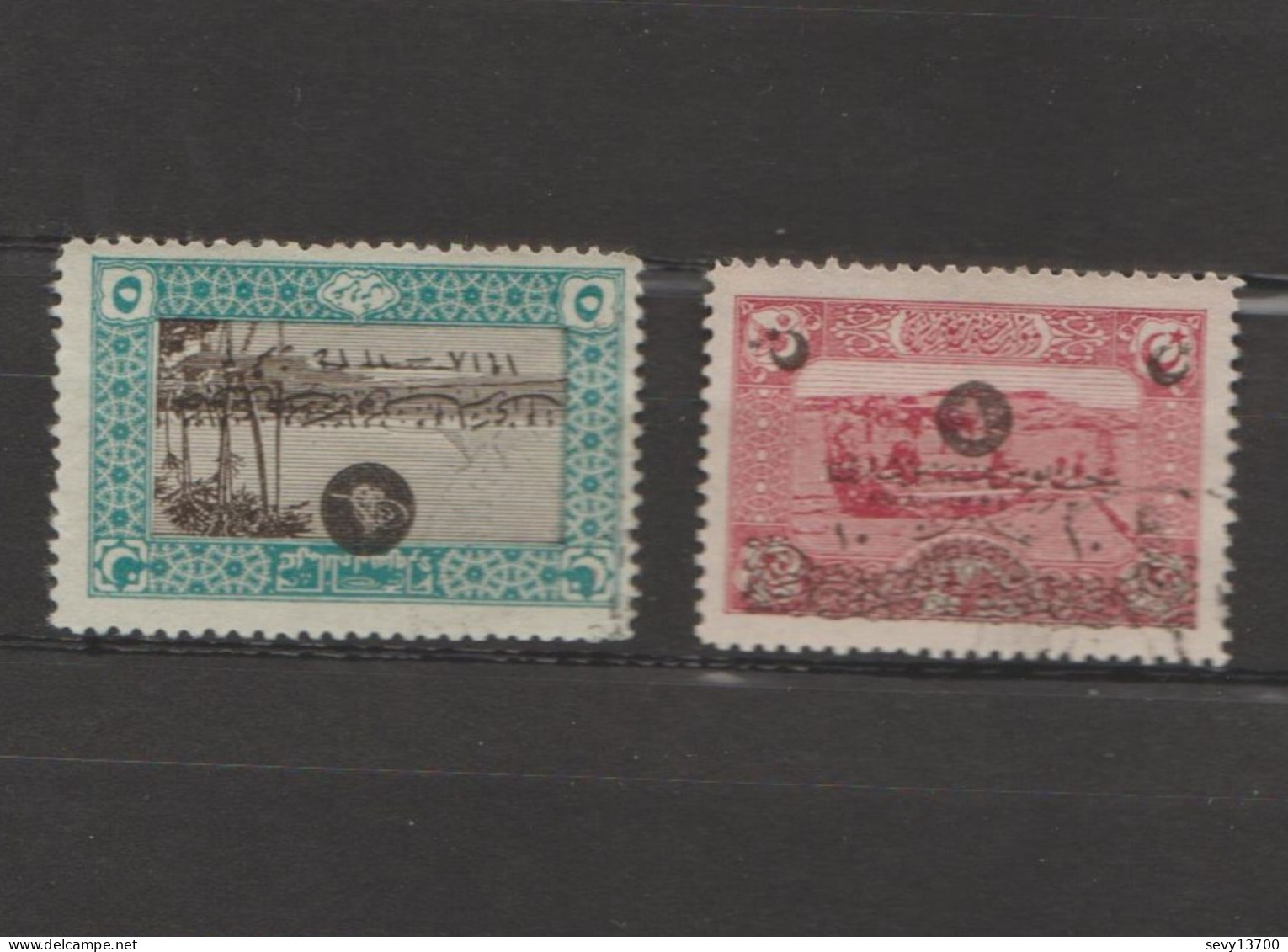 Turquie - Lot 2 Timbres Surchargés - Commémoration De L'accession Au Trône  De Mohammed VI - Année 1919 Mi 667 - Mi 669 - Gebraucht