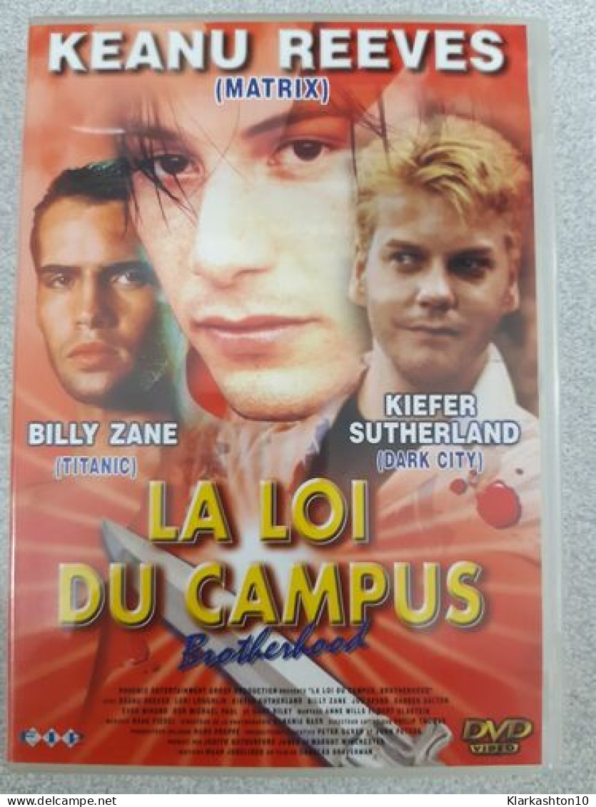 DVD Film - La Loi Du Campus - Otros & Sin Clasificación