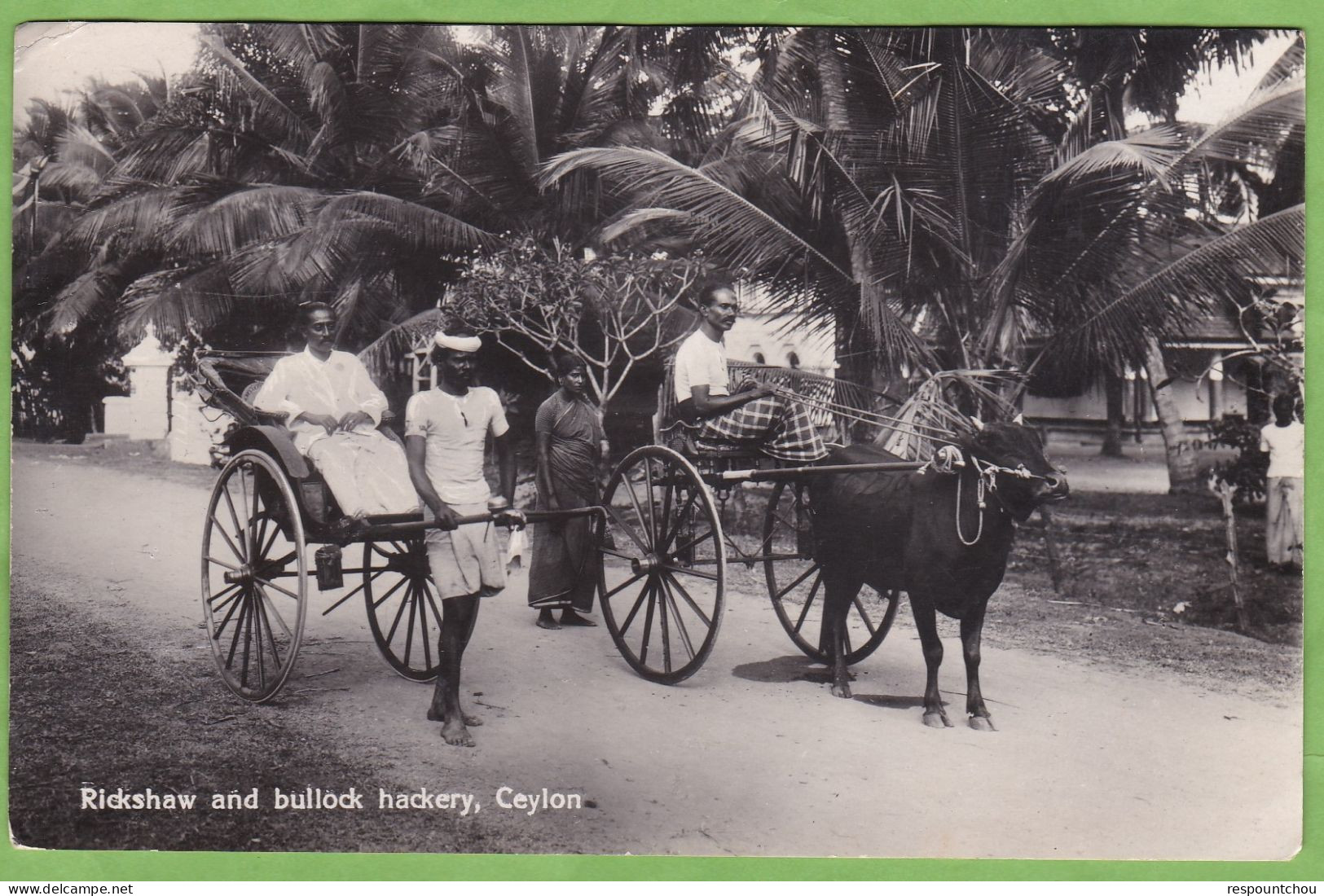 CPA Rickshaw And Bullock Hackery Ceylon Animé Attelage - Sri Lanka (Ceilán)