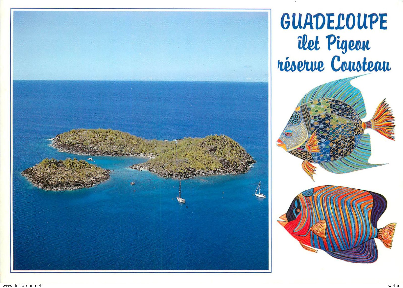 CPM , GUADELOUPE , Scan Recto-verso , * Lot 16- 89 - Other & Unclassified