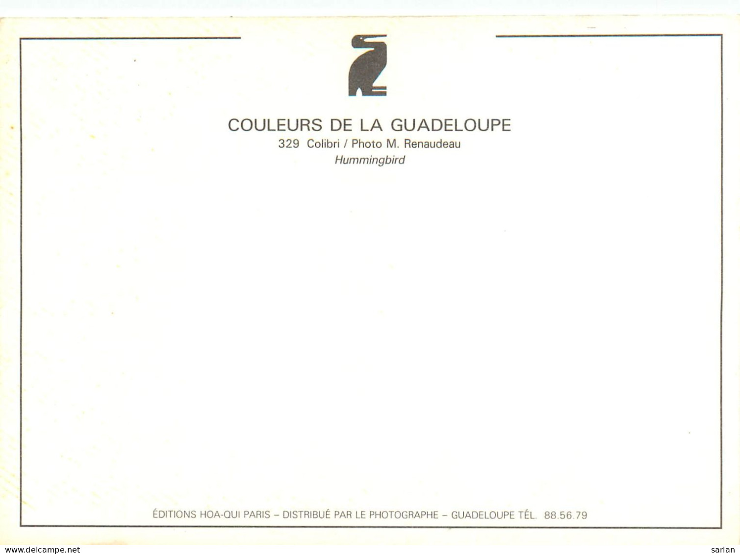CPM , GUADELOUPE , Scan Recto-verso , * Lot 16- 94 - Other & Unclassified