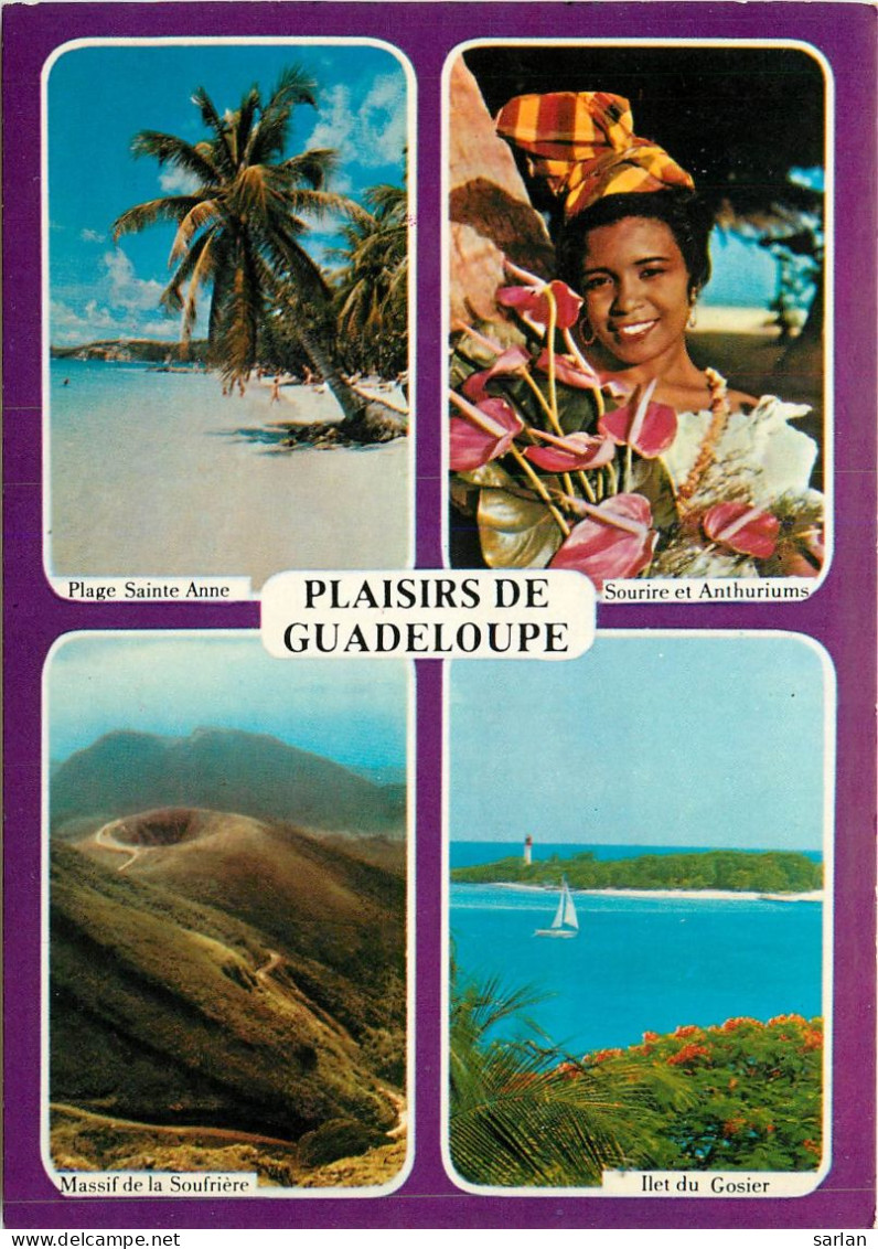 CPM , GUADELOUPE , Scan Recto-verso , * Lot 16- 62 - Autres & Non Classés