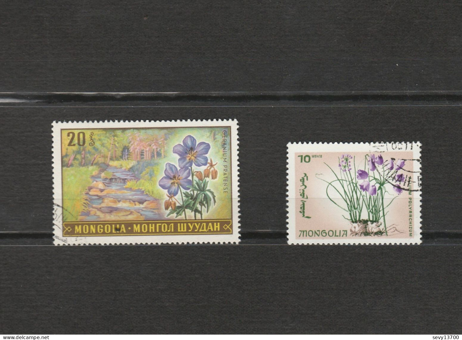 Mongolie Lot 13 Timbres Fleur Année 1960 YT 163 à 167 1968 N° 434 435 436 438  1975 N° 776 777 1969 N° 490 - 1966 N° 383 - Mongolei