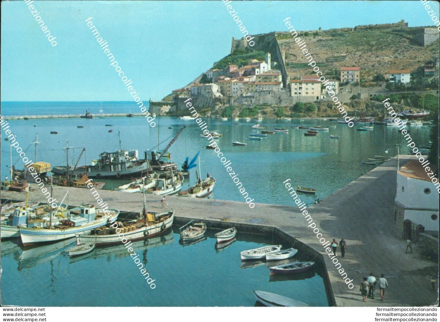 Br470 Cartolina Porto Ercole Scorcio Panoramico Grosseto Toscana - Grosseto