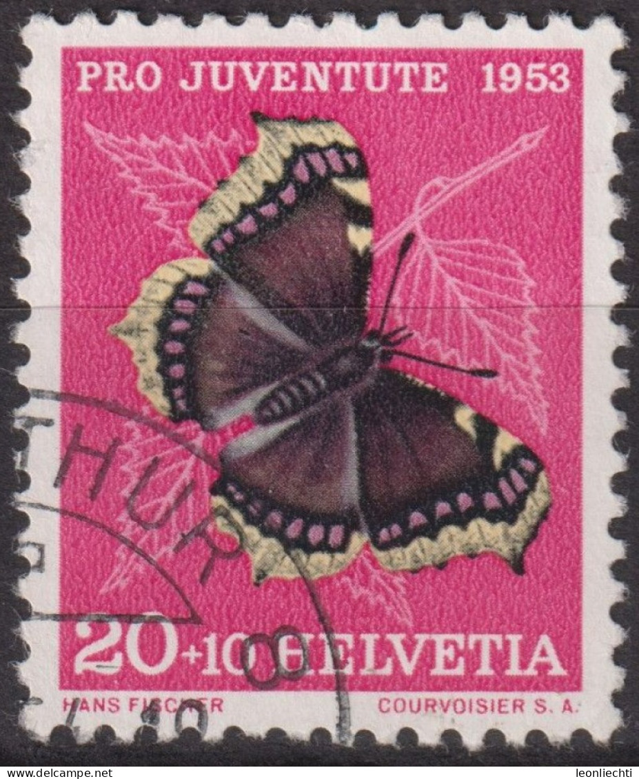 1953 Schweiz Pro Juventute ° Zum:CH J150,Yt:CH 541, Mi:CH 590, Trauermantel, Schmetterling - Oblitérés