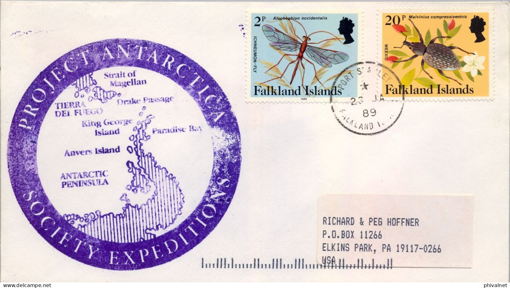 1989 ISLAS MALVINAS , FALKLAND  ISLANDS , PROJECT ANTARCTICA SOCIETY EXPEDITIONS , SOBRE CONMEMORATIVO , INSECTOS - Falklandeilanden