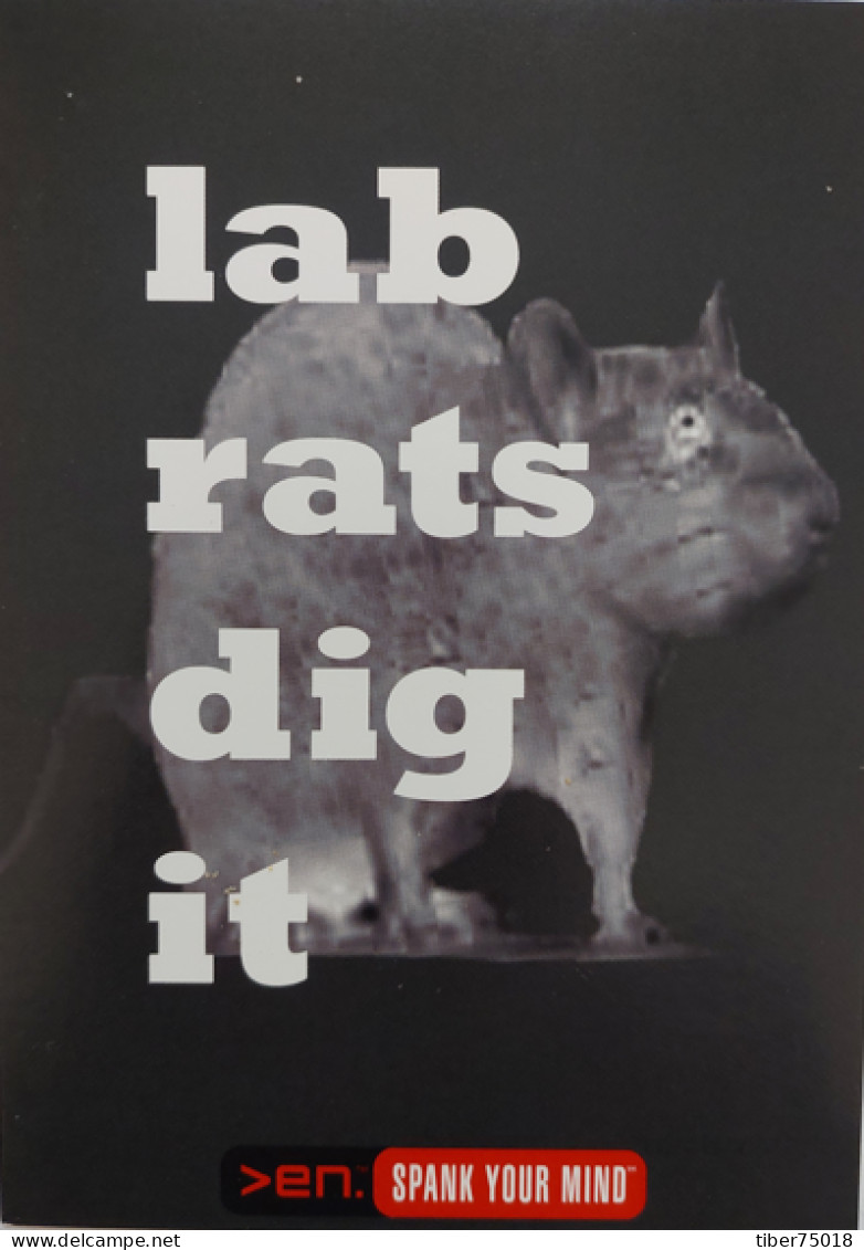 Carte Postale (Tower Records) Lab Rats Dig It (en. Spank Your Mind) Digital Entertainment - Advertising