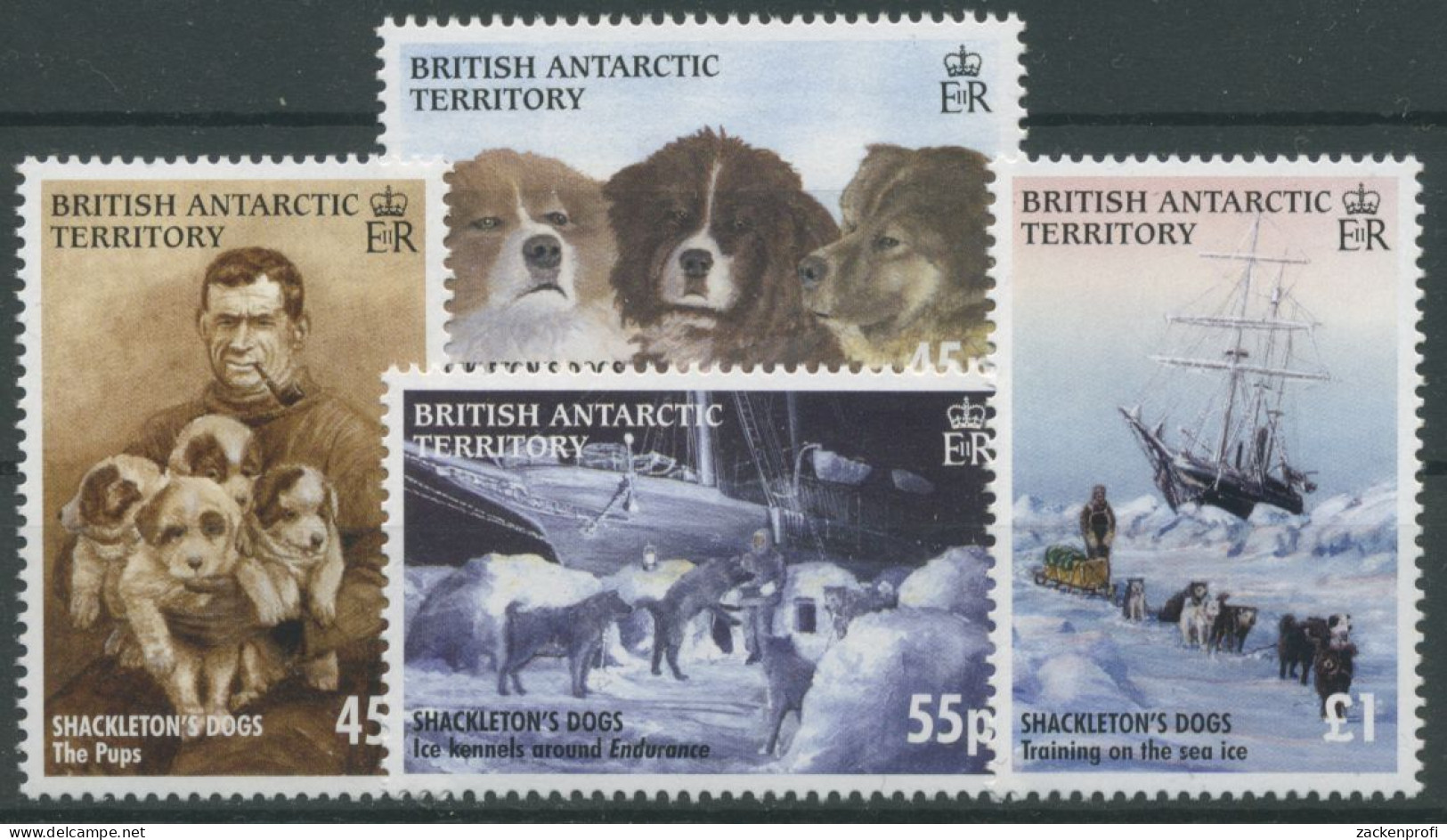 Britische Antarktis 2005 Schlittenhunde Shackleton-Expedition 408/11 Postfrisch - Ongebruikt