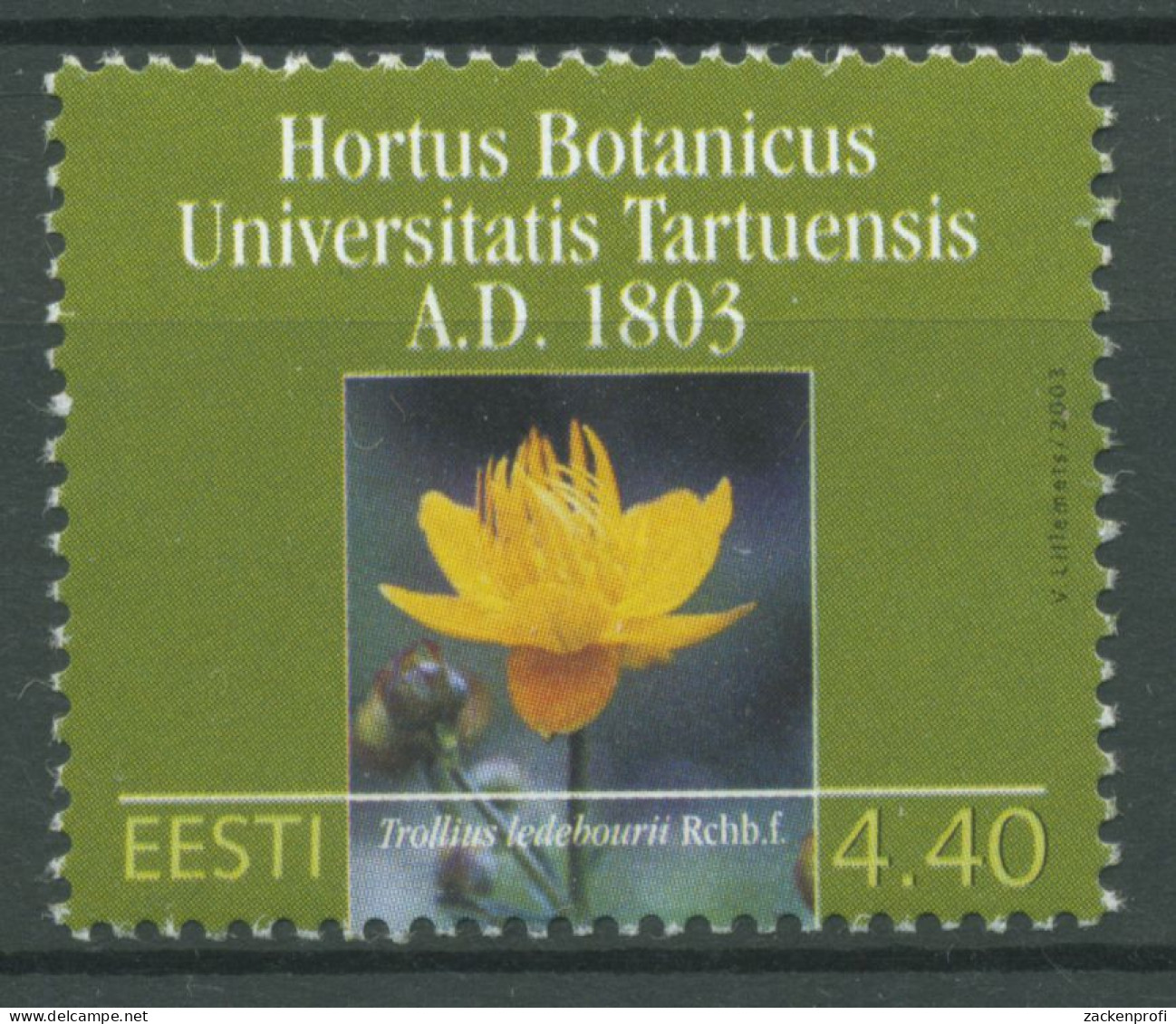 Estland 2003 Botanischer Garten Tartu Trollblume 464 Postfrisch - Estonie