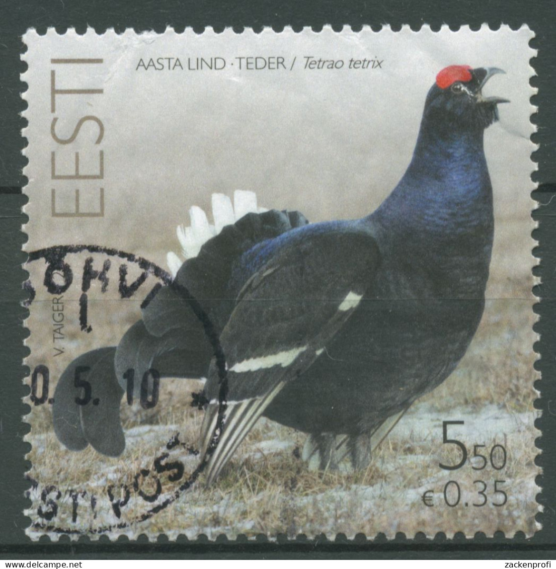 Estland 2008 Tiere Vogel Des Jahres Birkhahn 614 Gestempelt - Estonia